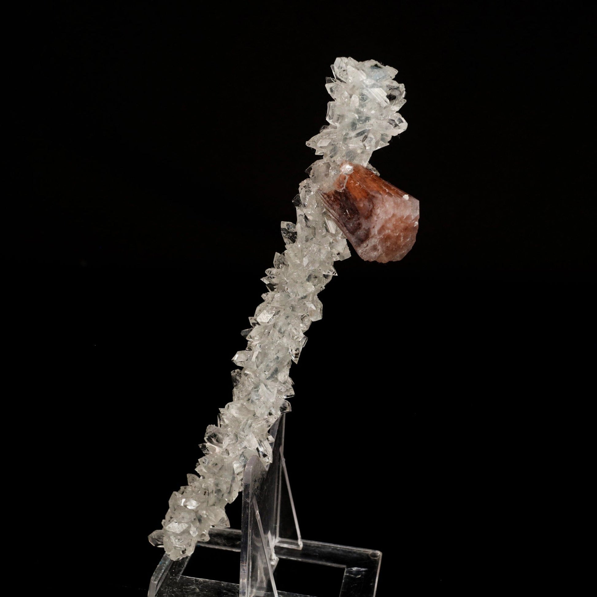 Stellerite Wings on Gemmy Apophyllite Tower Natural Mineral Specimen # B 6567 Stellerite Superb Minerals 
