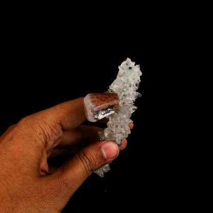 Stellerite Wings on Gemmy Apophyllite Tower Natural Mineral Specimen # B 6567 Stellerite Superb Minerals 