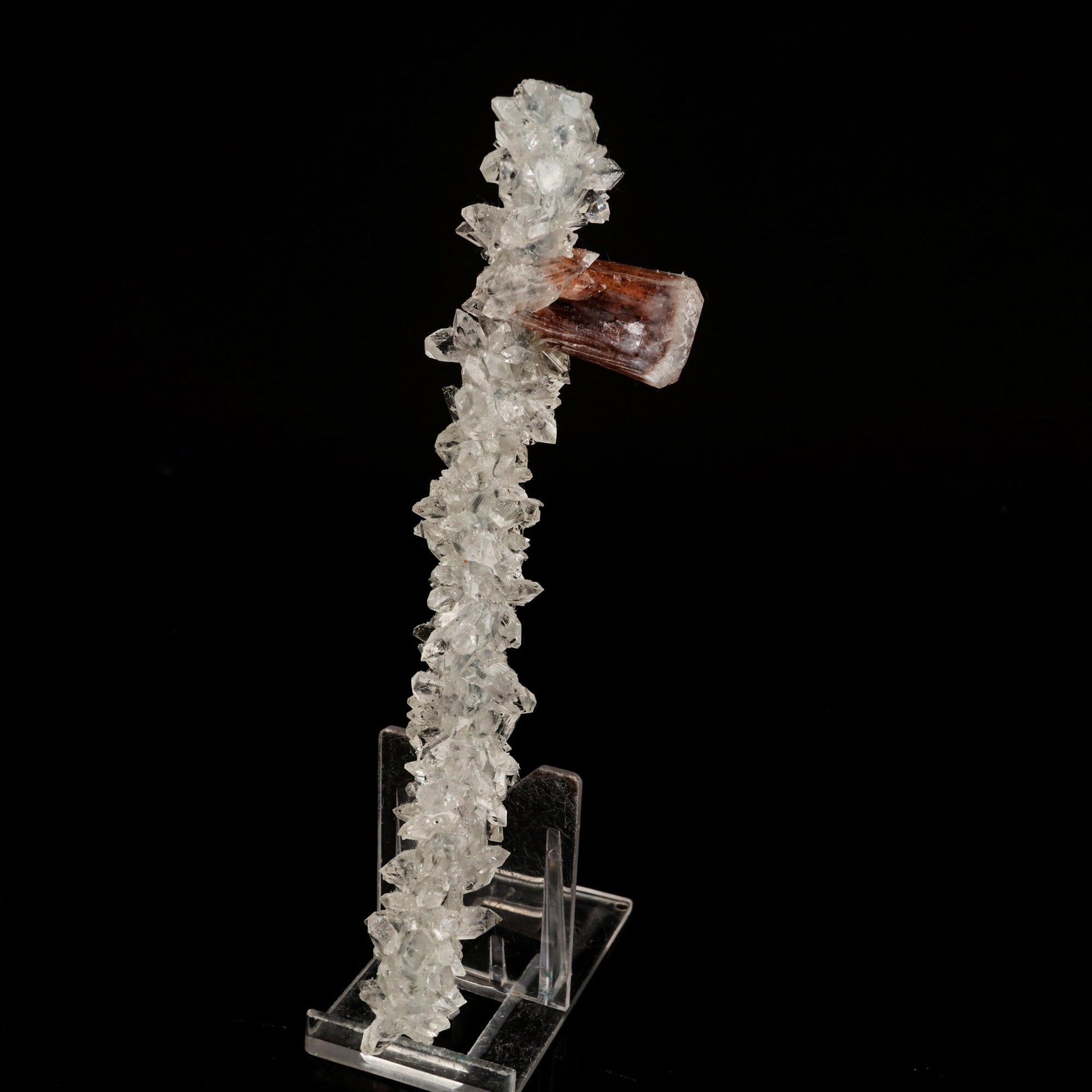 Stellerite Wings on Gemmy Apophyllite Tower Natural Mineral Specimen # B 6567 Stellerite Superb Minerals 