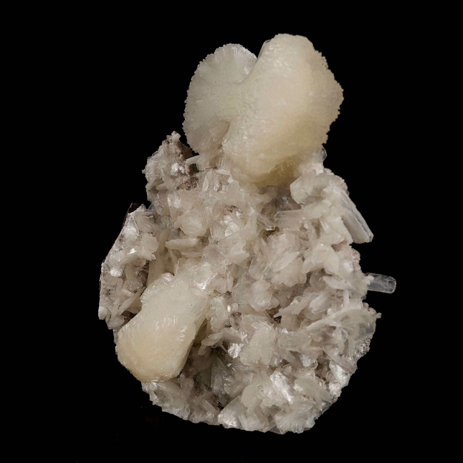 Stilbite bow shape formation Natural Mineral Specimen # B 5428 Stilbite Superb Minerals 