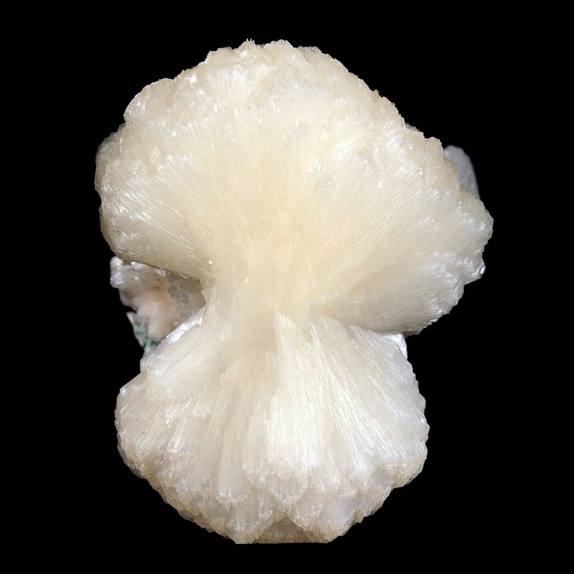 Stilbite bow shape formation Natural Mineral Specimen # B3487 Huge Stilbite bow tie, Great peach color.&nbsp; Primary Mineral(s): StilbiteSecondary Mineral(s): N/AMatrix: N/A10 cm x 9 cm450 GmsLocality: Aurangabad, Maharashtra, IndiaYear of Discovery: 2016