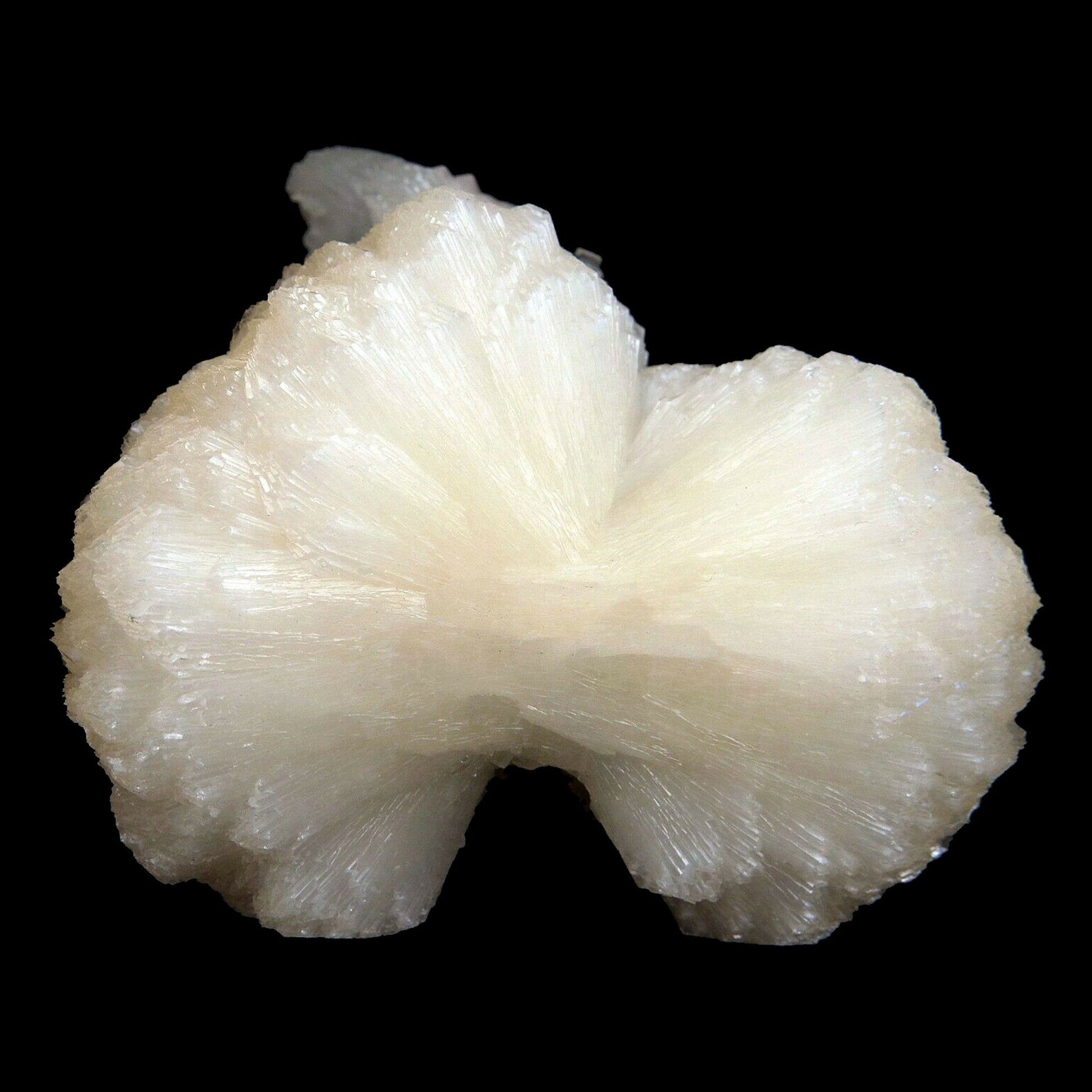 Stilbite bow shape formation Natural Mineral Specimen # B3487 Huge Stilbite bow tie, Great peach color.&nbsp; Primary Mineral(s): StilbiteSecondary Mineral(s): N/AMatrix: N/A10 cm x 9 cm450 GmsLocality: Aurangabad, Maharashtra, IndiaYear of Discovery: 2016