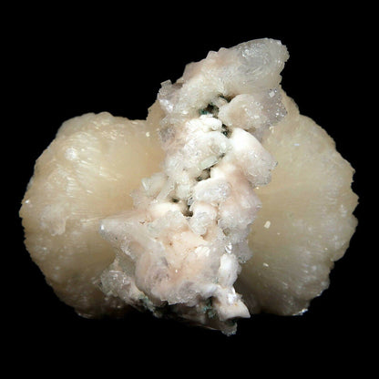 Stilbite bow shape formation Natural Mineral Specimen # B3487 Huge Stilbite bow tie, Great peach color.&nbsp; Primary Mineral(s): StilbiteSecondary Mineral(s): N/AMatrix: N/A10 cm x 9 cm450 GmsLocality: Aurangabad, Maharashtra, IndiaYear of Discovery: 2016