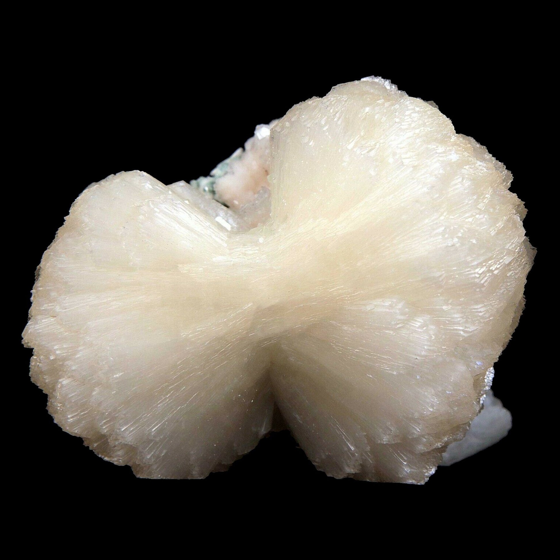 Stilbite bow shape formation Natural Mineral Specimen # B3487 Huge Stilbite bow tie, Great peach color.&nbsp; Primary Mineral(s): StilbiteSecondary Mineral(s): N/AMatrix: N/A10 cm x 9 cm450 GmsLocality: Aurangabad, Maharashtra, IndiaYear of Discovery: 2016