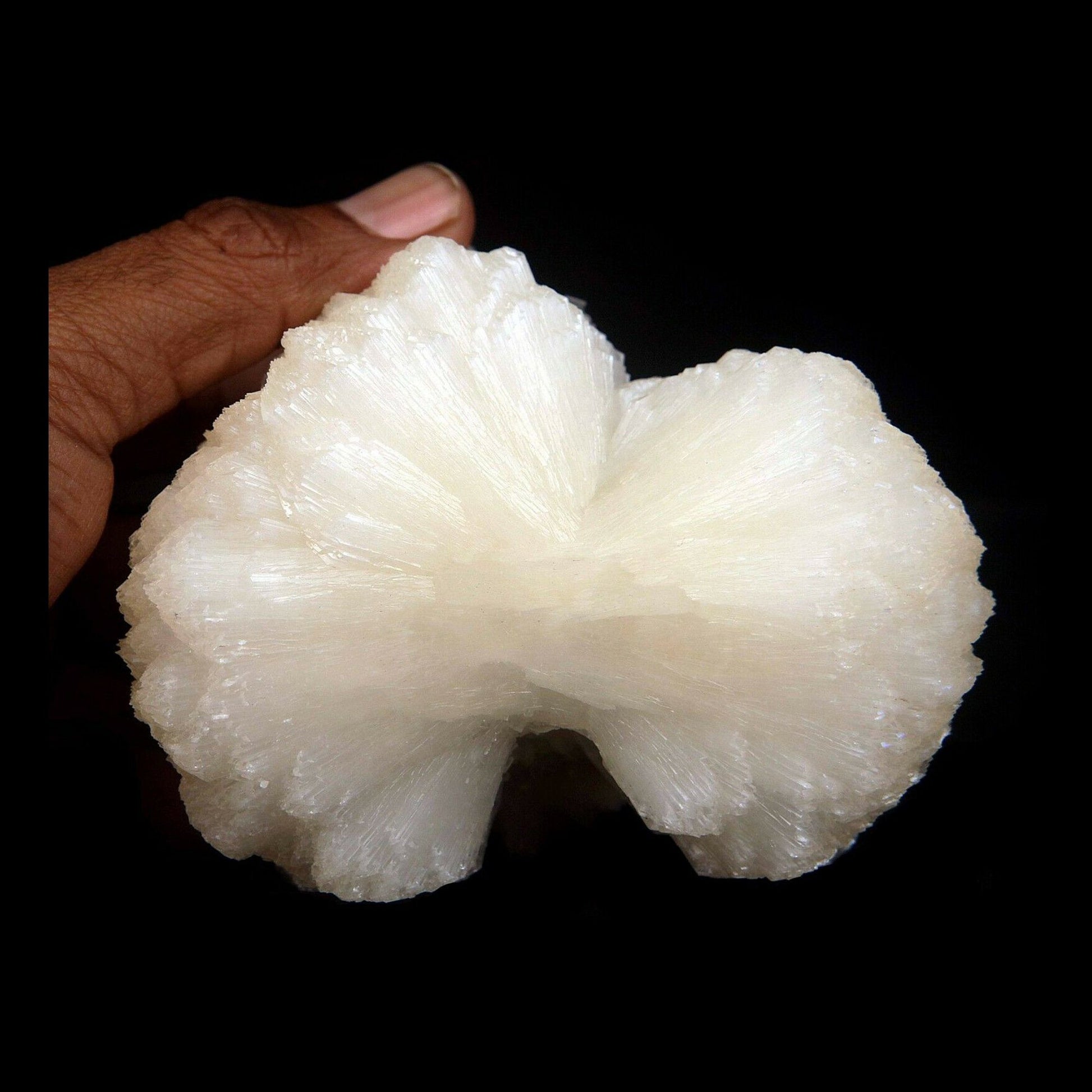 Stilbite bow shape formation Natural Mineral Specimen # B3487 Huge Stilbite bow tie, Great peach color.&nbsp; Primary Mineral(s): StilbiteSecondary Mineral(s): N/AMatrix: N/A10 cm x 9 cm450 GmsLocality: Aurangabad, Maharashtra, IndiaYear of Discovery: 2016