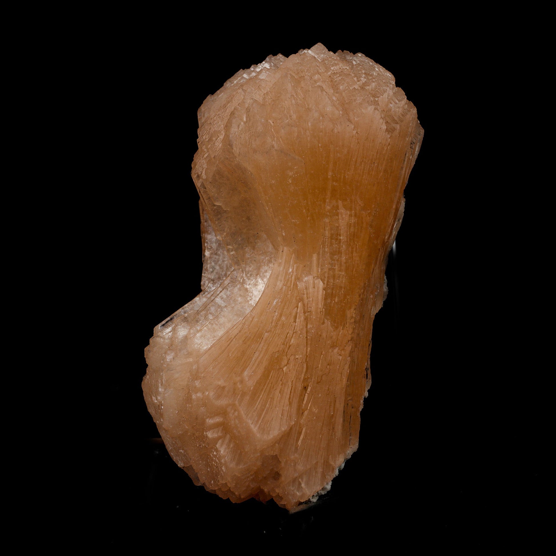 Stilbite Bow Shape Natural Mineral Specimen # B 5097  https://www.superbminerals.us/products/stilbite-bow-shape-natural-mineral-specimen-b-5097  Features: The best viewing angle for this specimen shows a 3-dimensional upright stilbite "bow tie," with a pastel salmon color and great luster and translucence. The matrix is a thin veneer of Heulandite. Primary Mineral(s): Stilbite Secondary Mineral(s): N/AMatrix: N/A 5 Inch x 2 InchWeight : 432