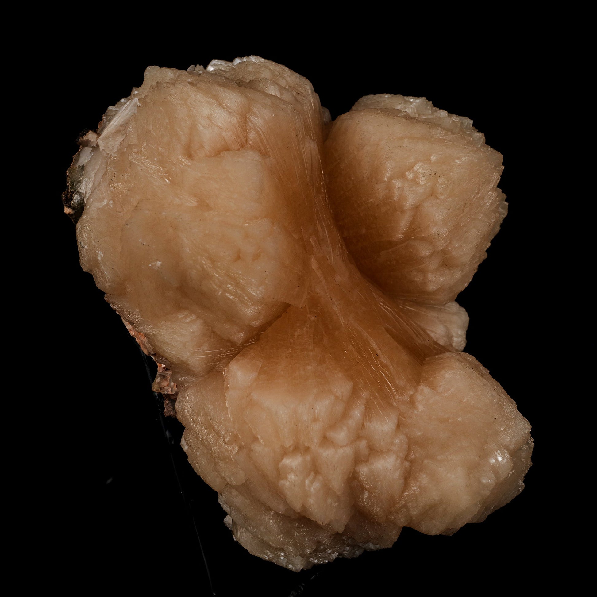 Stilbite Bow Shape Natural Mineral Specimen # B 5547 Stilbite Superb Minerals 