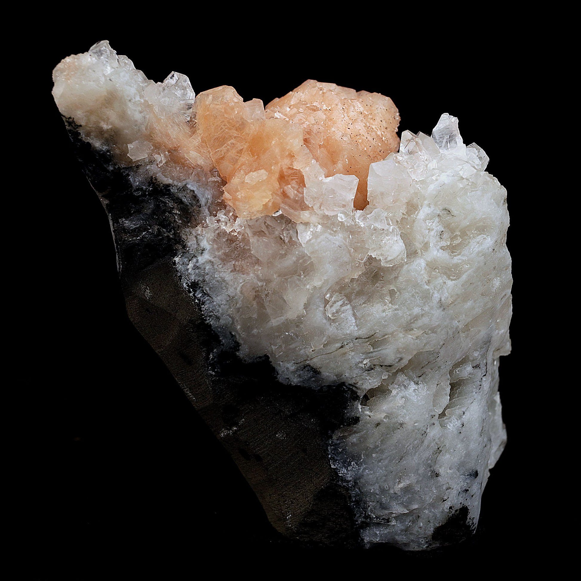 Stilbite Bow Shape on Gemmy Apophyllite Natural Mineral Specimen # B 4…  https://www.superbminerals.us/products/stilbite-bow-shape-on-gemmy-apophyllite-natural-mineral-specimen-b-4080  Features:Classic combination specimen from the basalt trap rock quarries of India featuring a Fluorapophyllite crystal cluster with a Stilbite bowtie! While common in general, this is really a special piece - more beautiful and sparkly than most. The Fluorapophyllite is glassy, transparent to translucent and composed