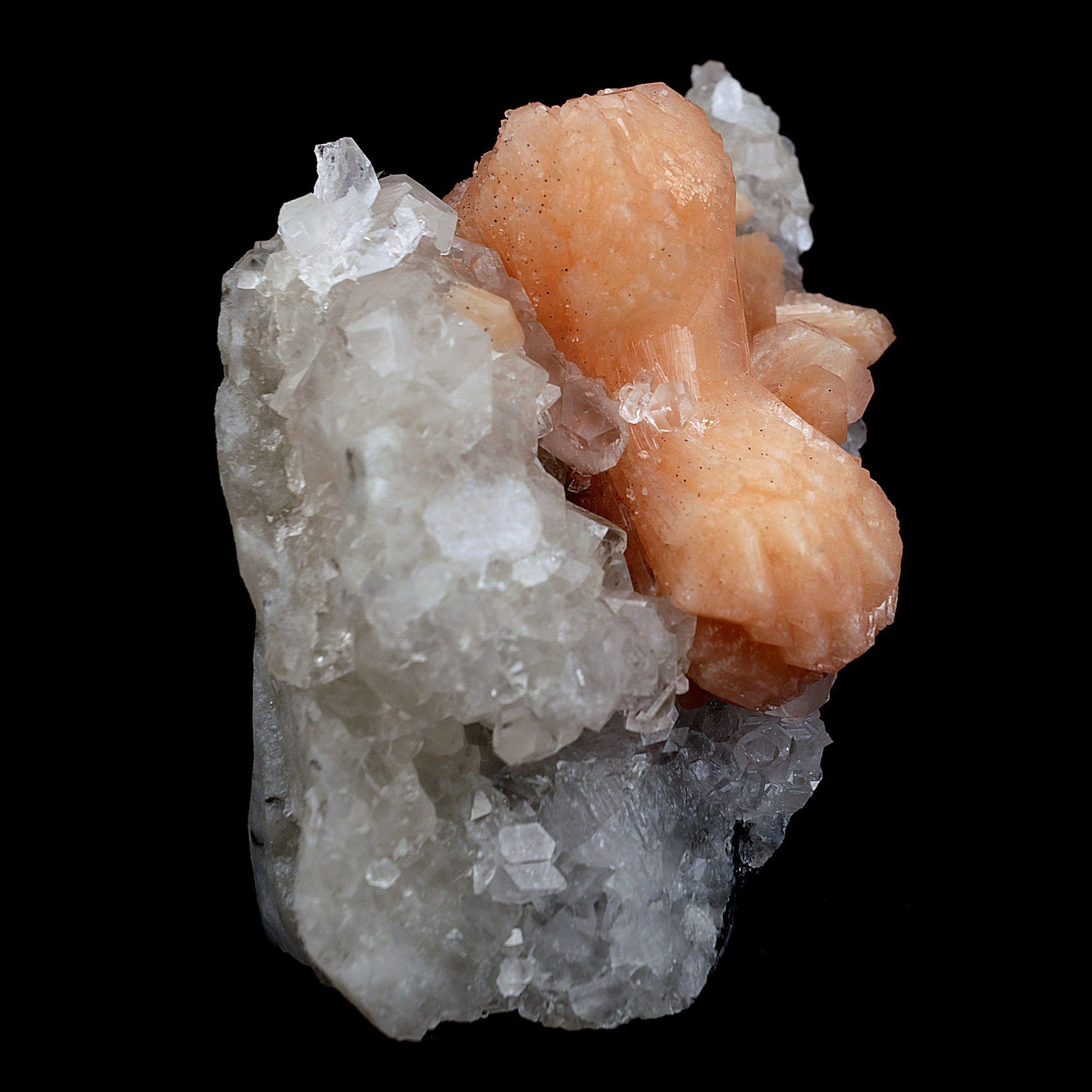 Stilbite Bow Shape on Gemmy Apophyllite Natural Mineral Specimen # B 4…  https://www.superbminerals.us/products/stilbite-bow-shape-on-gemmy-apophyllite-natural-mineral-specimen-b-4080  Features:Classic combination specimen from the basalt trap rock quarries of India featuring a Fluorapophyllite crystal cluster with a Stilbite bowtie! While common in general, this is really a special piece - more beautiful and sparkly than most. The Fluorapophyllite is glassy, transparent to translucent and composed