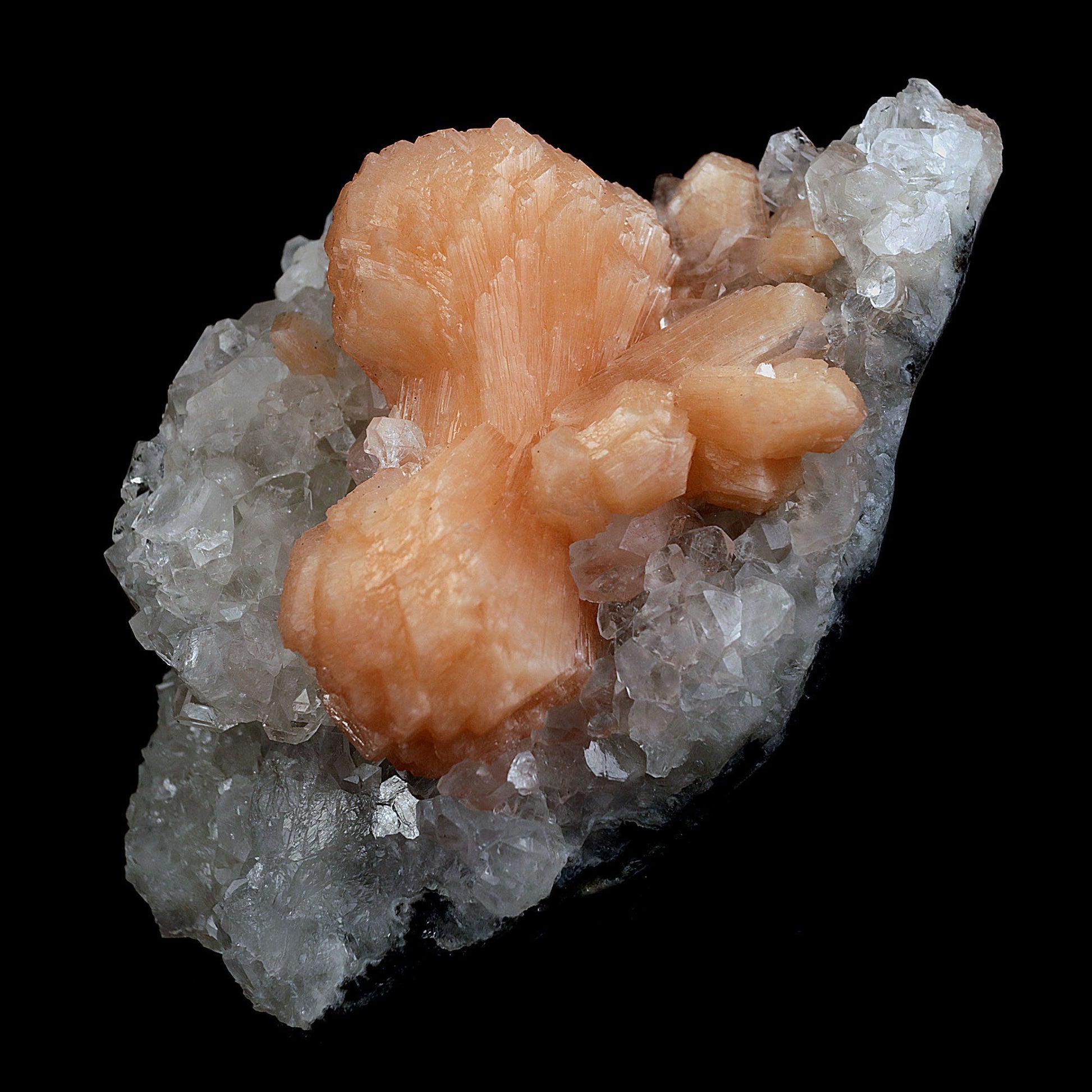 Stilbite Bow Shape on Gemmy Apophyllite Natural Mineral Specimen # B 4…  https://www.superbminerals.us/products/stilbite-bow-shape-on-gemmy-apophyllite-natural-mineral-specimen-b-4080  Features:Classic combination specimen from the basalt trap rock quarries of India featuring a Fluorapophyllite crystal cluster with a Stilbite bowtie! While common in general, this is really a special piece - more beautiful and sparkly than most. The Fluorapophyllite is glassy, transparent to translucent and composed