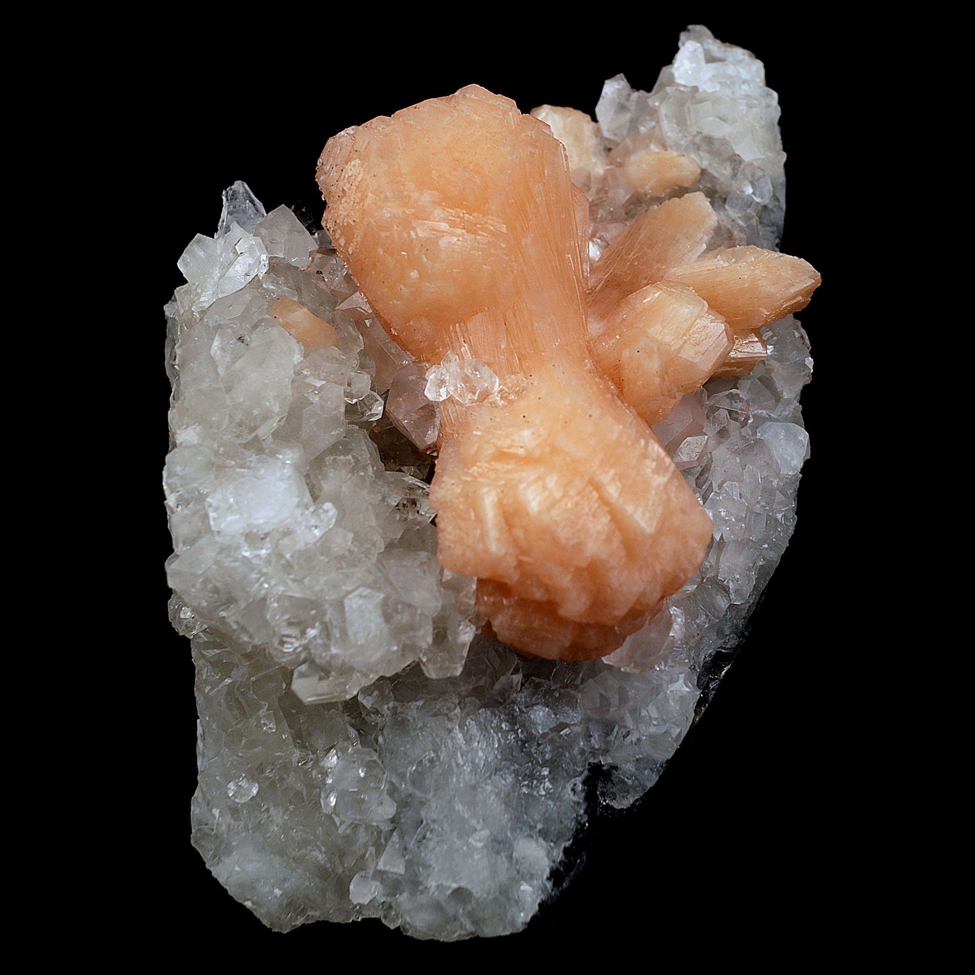 Stilbite Bow Shape on Gemmy Apophyllite Natural Mineral Specimen # B 4…  https://www.superbminerals.us/products/stilbite-bow-shape-on-gemmy-apophyllite-natural-mineral-specimen-b-4080  Features:Classic combination specimen from the basalt trap rock quarries of India featuring a Fluorapophyllite crystal cluster with a Stilbite bowtie! While common in general, this is really a special piece - more beautiful and sparkly than most. The Fluorapophyllite is glassy, transparent to translucent and composed