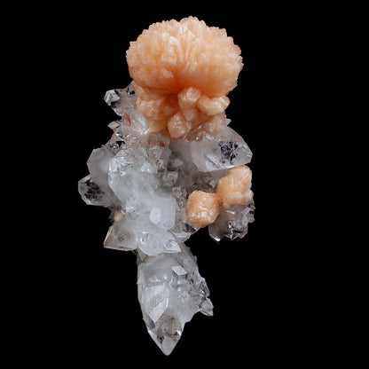 Stilbite Bow Shape on Gemmy Terminated Apophyllite Natural Mineral Spe…  https://www.superbminerals.us/products/stilbite-bow-shape-on-gemmy-terminated-apophyllite-natural-mineral-specimen-b-4089  Features:Very fine classic Apophyllite and Stilbite piece out of from Jalgaon District, Maharashtra, India.– the Apophyllite crystals are clear, gemmy and perfectly terminated and the Stilbite crystals are a peach color with a pearl luster.
