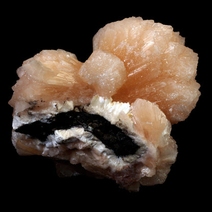 Stilbite Bow Shape Pink Stilbite Natural Mineral Specimen # B 3402 This is a superb, lustrous, translucent, salmon pink, "bow tie," of stilbite. The form and color are spectacular! Totally common as a species, totally typical in classic bowtie form; Unique specimen for display purpose.Primary Mineral(s): StilbiteSecondary Mineral(s): N/AMatrix: N/A12 cm x 13 cm1030 GmsLocalit