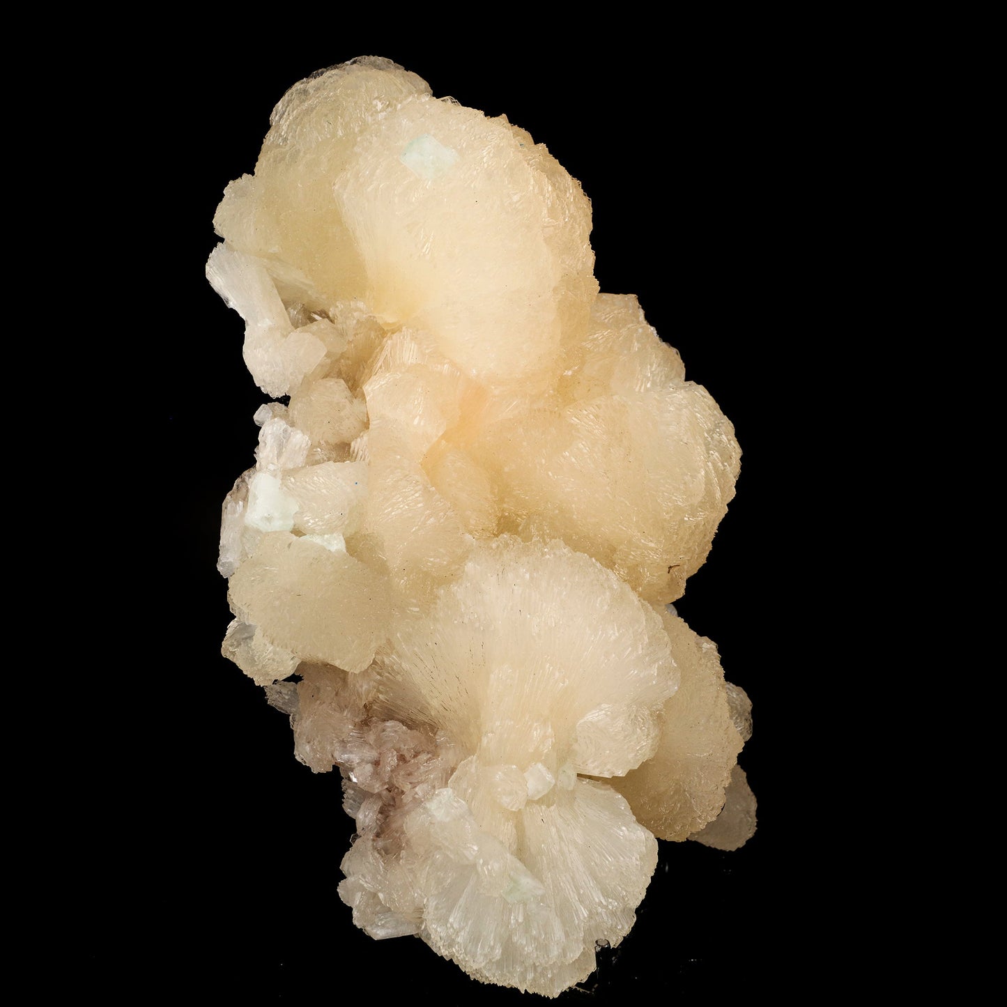 Stilbite Bow Tie Cluster Natural Mineral Specimen # B 6201 Stilbite Superb Minerals 
