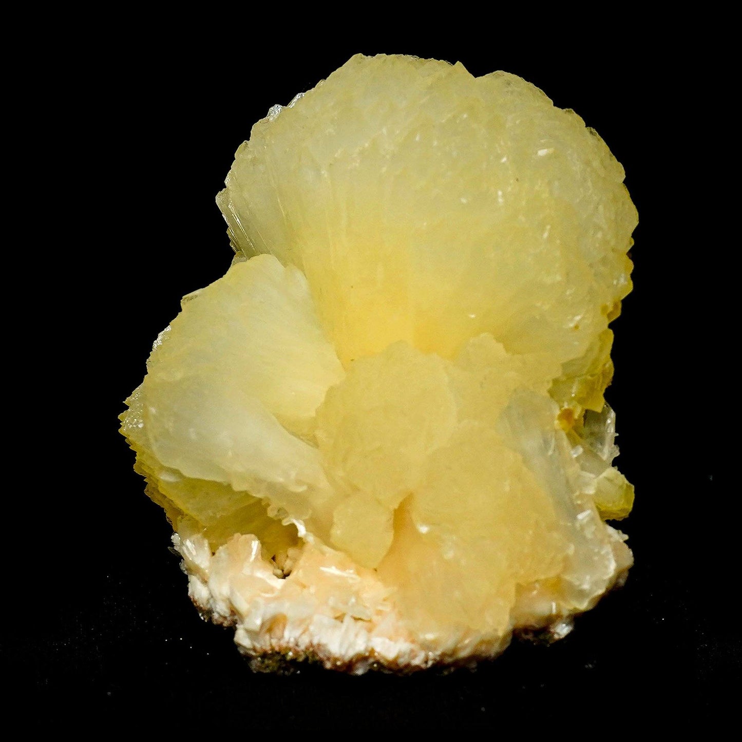Stilbite Bow Tie Formation Natural Mineral Specimen # B 4928  https://www.superbminerals.us/products/stilbite-bow-tie-formation-natural-mineral-specimen-b-4928  Features: Decoratively embedded in the Chalcedony basalt matrix is a beautiful, big double terminated stilbite bowtie with excellent broad form and fantastic broad termination. Stilbite is a highly glossy, translucent, cream-colored mineral that is beautifully enhanced by the numerous brilliant crystals