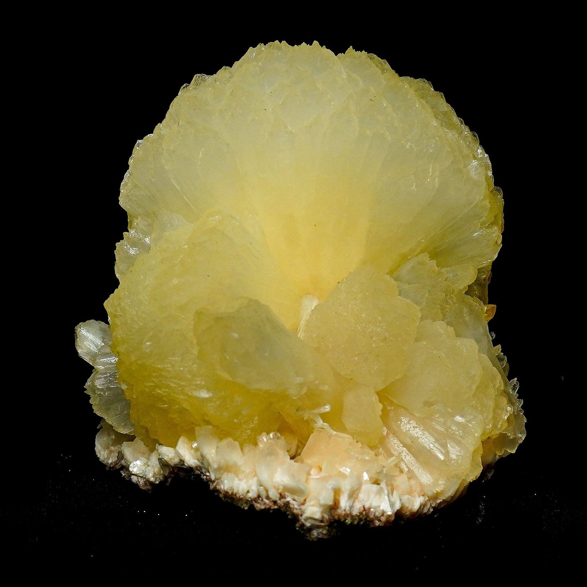Stilbite Bow Tie Formation Natural Mineral Specimen # B 4928  https://www.superbminerals.us/products/stilbite-bow-tie-formation-natural-mineral-specimen-b-4928  Features: Decoratively embedded in the Chalcedony basalt matrix is a beautiful, big double terminated stilbite bowtie with excellent broad form and fantastic broad termination. Stilbite is a highly glossy, translucent, cream-colored mineral that is beautifully enhanced by the numerous brilliant crystals