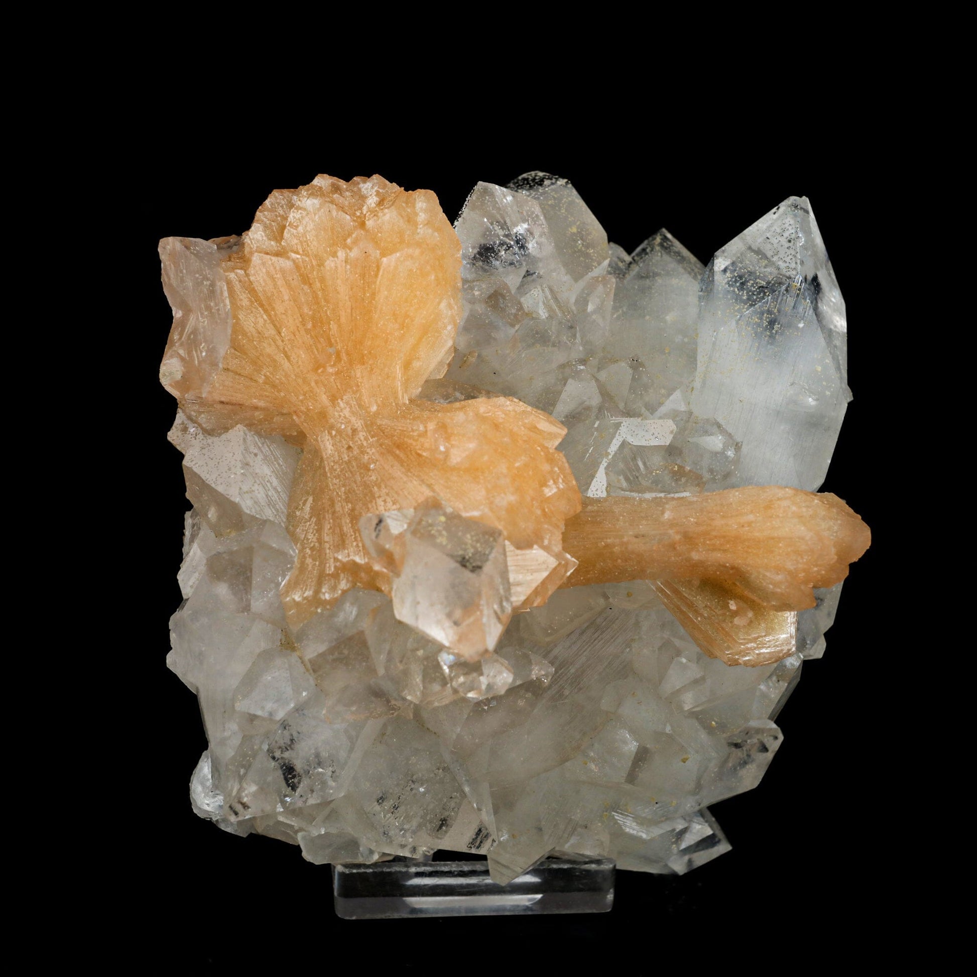 Stilbite 'Bow-Tie' on Apophyllite Natural Mineral Specimen # B 6471 Stilbite Superb Minerals 