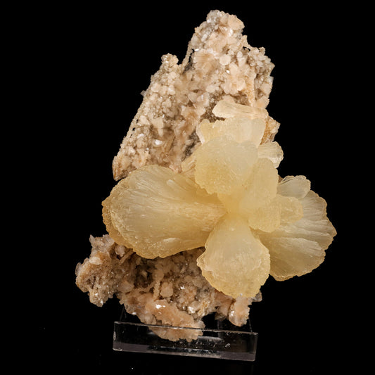 Stilbite 'Bow-Tie' on Heulandite Natural Mineral Specimen # B 6337 Stilbite Superb Minerals 
