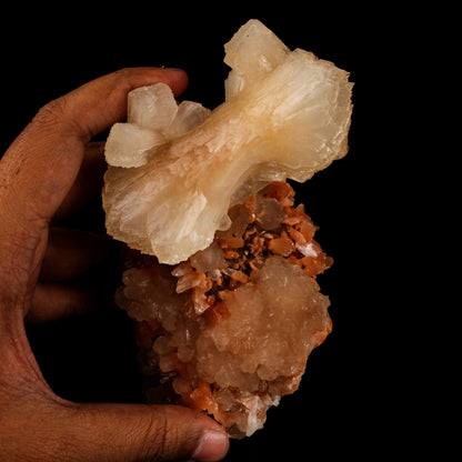 Stilbite 'Bow-Tie' on Heulandite Natural Mineral Specimen # B 6459 Stilbite Superb Minerals 