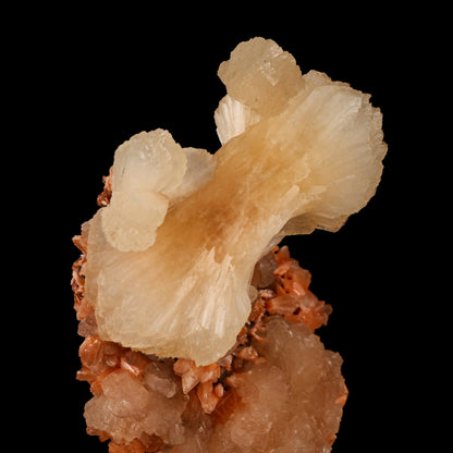 Stilbite 'Bow-Tie' on Heulandite Natural Mineral Specimen # B 6459 Stilbite Superb Minerals 