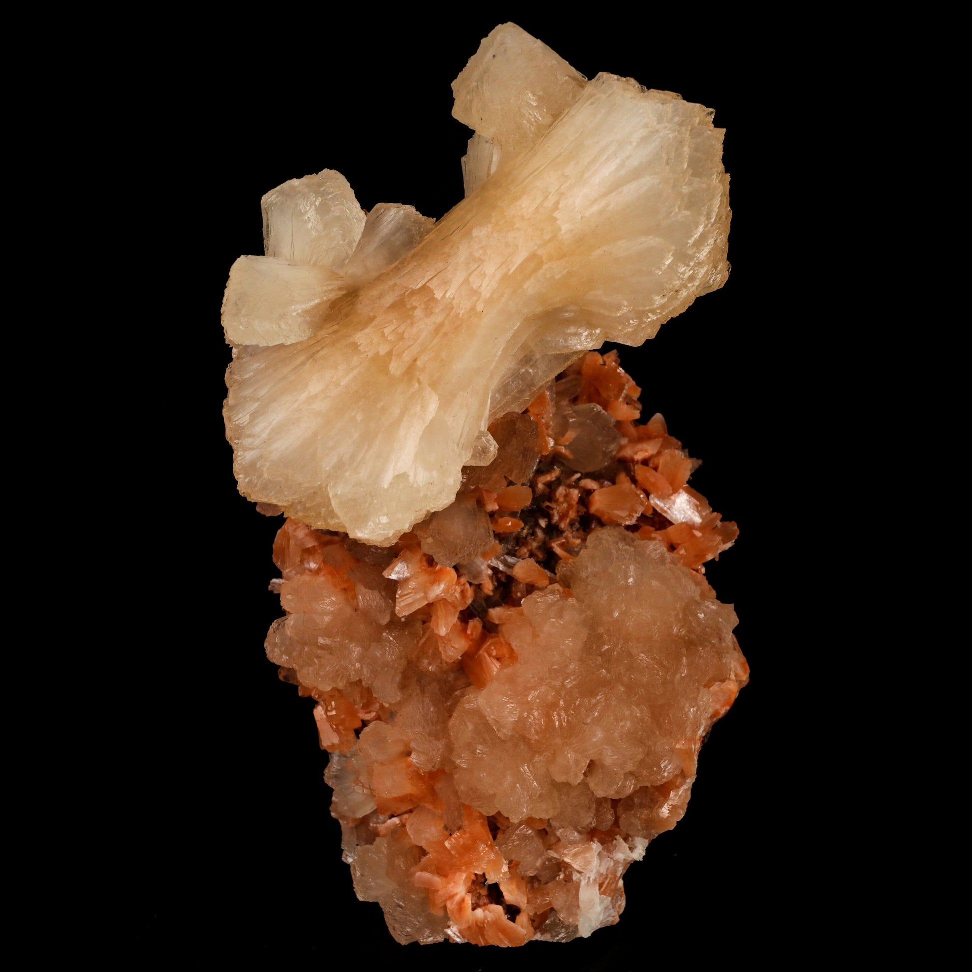 Stilbite 'Bow-Tie' on Heulandite Natural Mineral Specimen # B 6459 Stilbite Superb Minerals 