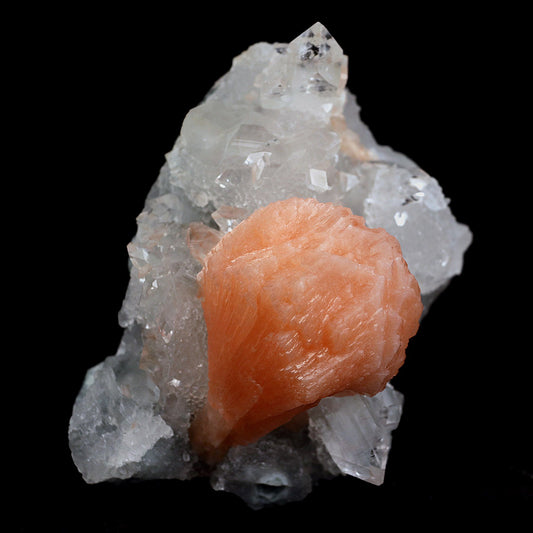 Stilbite Cluster on Gemmy Apophyllite With MM Quartz Natural Mineral S…  https://www.superbminerals.us/products/stilbite-cluster-on-gemmy-apophyllite-natural-mineral-specimen-b-4081  Features:Classic combination specimen from the basalt trap rock quarries of India featuring a Apophyllite crystal cluster with a Stilbite. While common in general, this is really a special piece - more beautiful and sparkly than most. The Apophyllite is glassy, transparent to translucent and composed of several