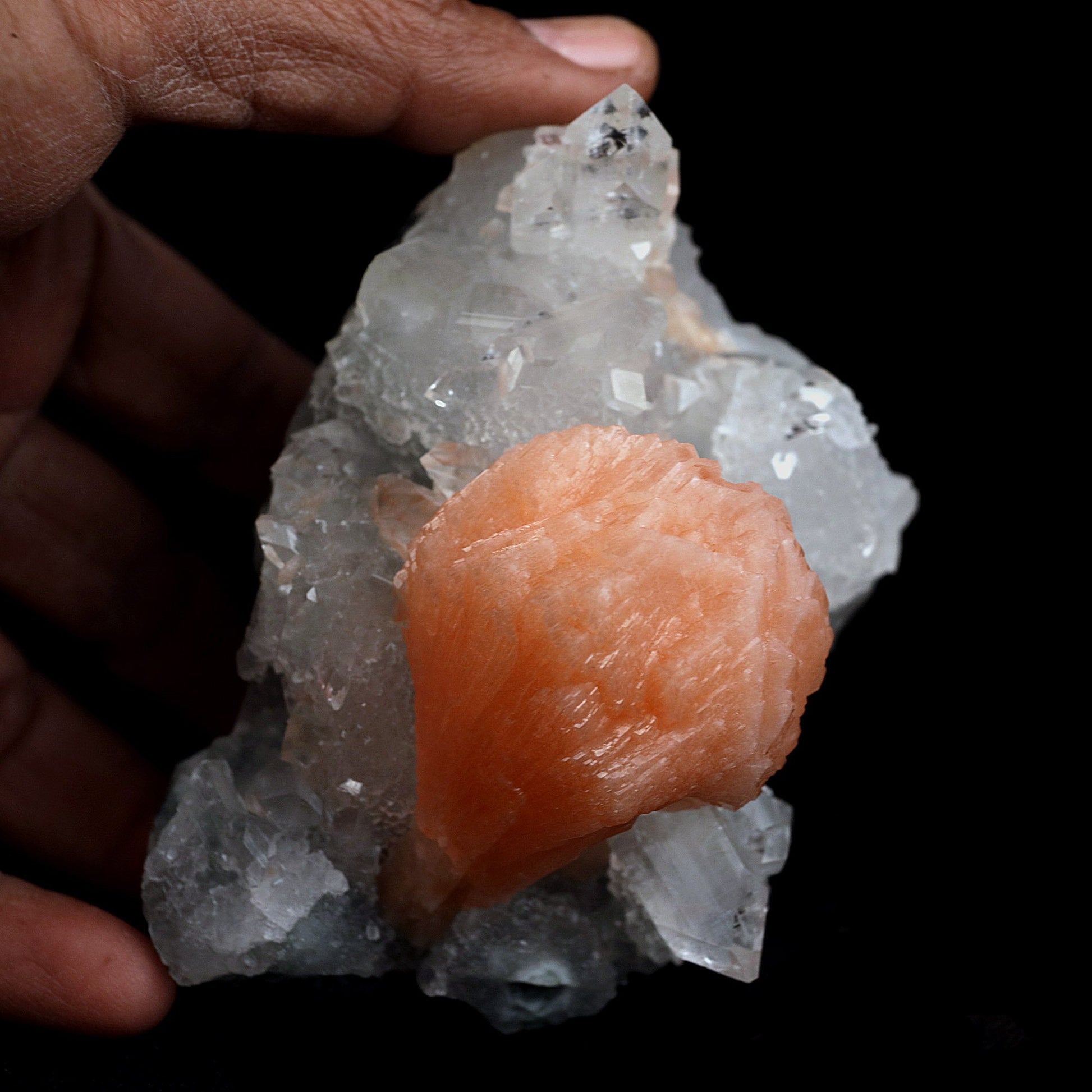 Stilbite Cluster on Gemmy Apophyllite With MM Quartz Natural Mineral S…  https://www.superbminerals.us/products/stilbite-cluster-on-gemmy-apophyllite-natural-mineral-specimen-b-4081  Features:Classic combination specimen from the basalt trap rock quarries of India featuring a Apophyllite crystal cluster with a Stilbite. While common in general, this is really a special piece - more beautiful and sparkly than most. The Apophyllite is glassy, transparent to translucent and composed of several