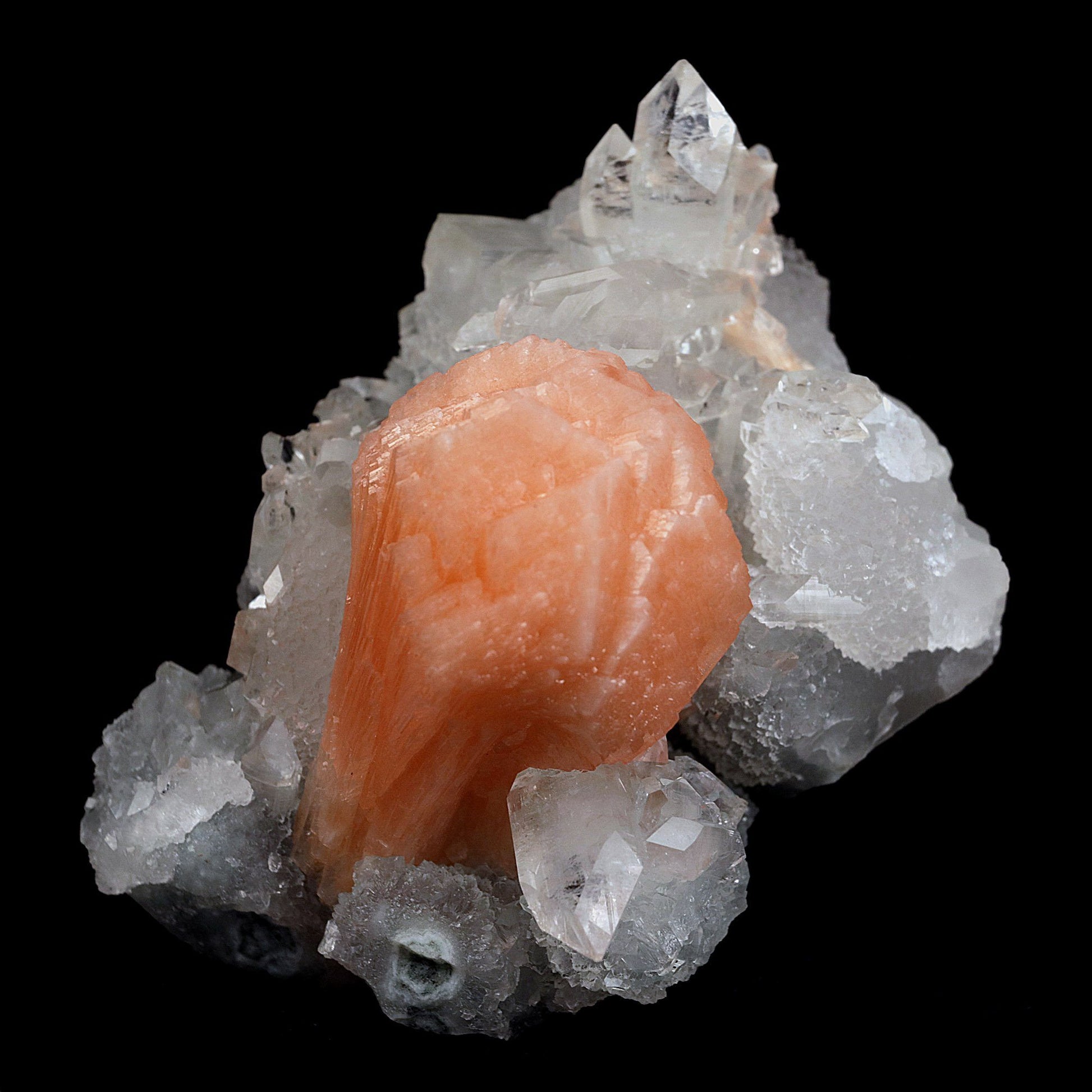 Stilbite Cluster on Gemmy Apophyllite With MM Quartz Natural Mineral S…  https://www.superbminerals.us/products/stilbite-cluster-on-gemmy-apophyllite-natural-mineral-specimen-b-4081  Features:Classic combination specimen from the basalt trap rock quarries of India featuring a Apophyllite crystal cluster with a Stilbite. While common in general, this is really a special piece - more beautiful and sparkly than most. The Apophyllite is glassy, transparent to translucent and composed of several