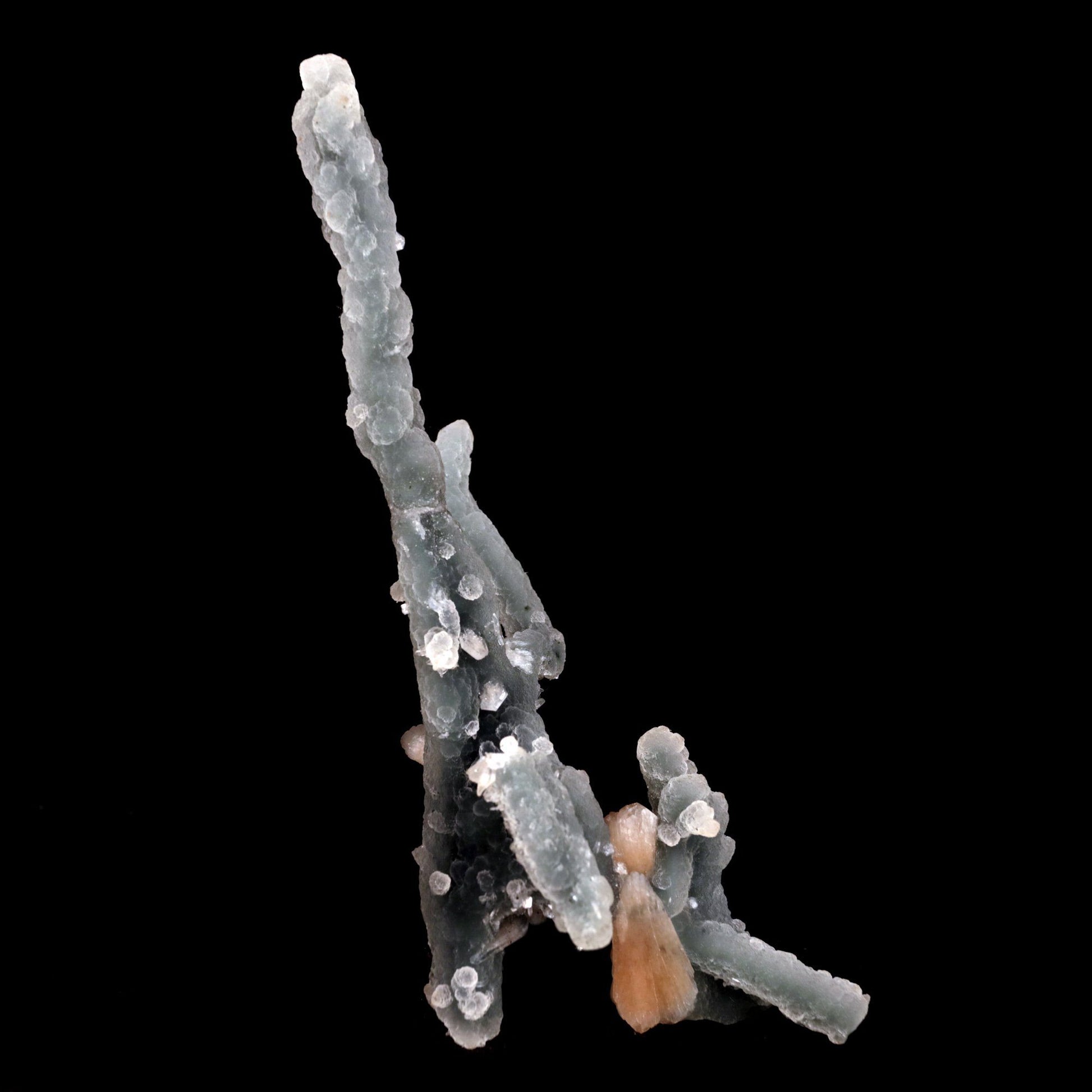 Stilbite Crystals on Chalcedony Stalactite (Repair) Natural Mineral Sp…  https://www.superbminerals.us/products/stilbite-crystals-on-chalcedony-stalactite-repair-natural-mineral-specimen-b-4824  Features: Unusual Stilbite from India, exhibiting a transparent, beige crystal with a pearly sheen sitting atop an off-white stalactitic Chalcedony cluster in an aesthetically pleasing display. A one-of-a-kind item in superb condition. Primary Mineral(s): StilbiteSecondary Mineral(s): N/AMatrix: Chalcedony
