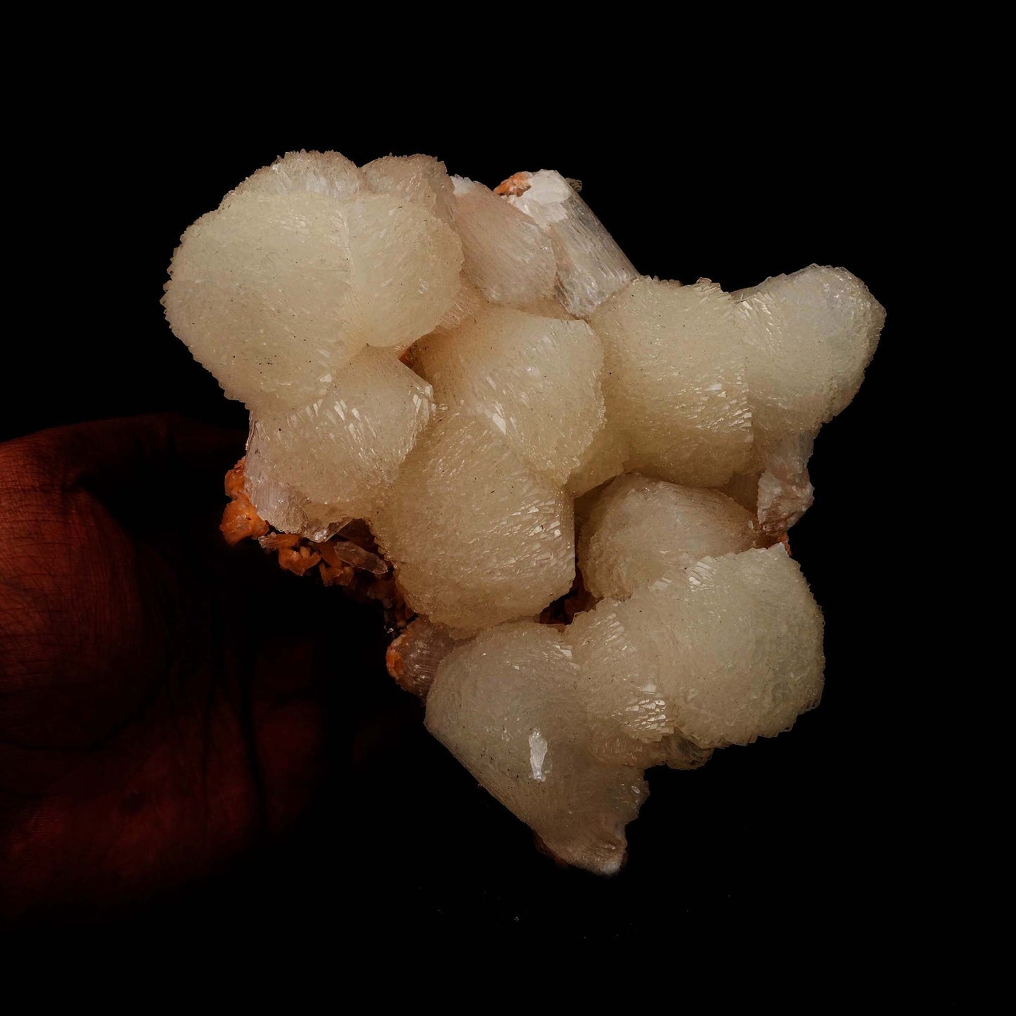 Stilbite Lusterous Cluster Natural Mineral Specimen # B 5185  https://www.superbminerals.us/products/stilbite-lusterous-cluster-natural-mineral-specimen-b-5185  Features: Featuring many excellent quality bladed groups of Stilbite in a soft white hue, resting over pearly stalactitic formations of peach colored Heulandite, this piece is a stunning example of the material. The sculpture is really flashy and three-dimensional, and I particularly like how the Stilbites 