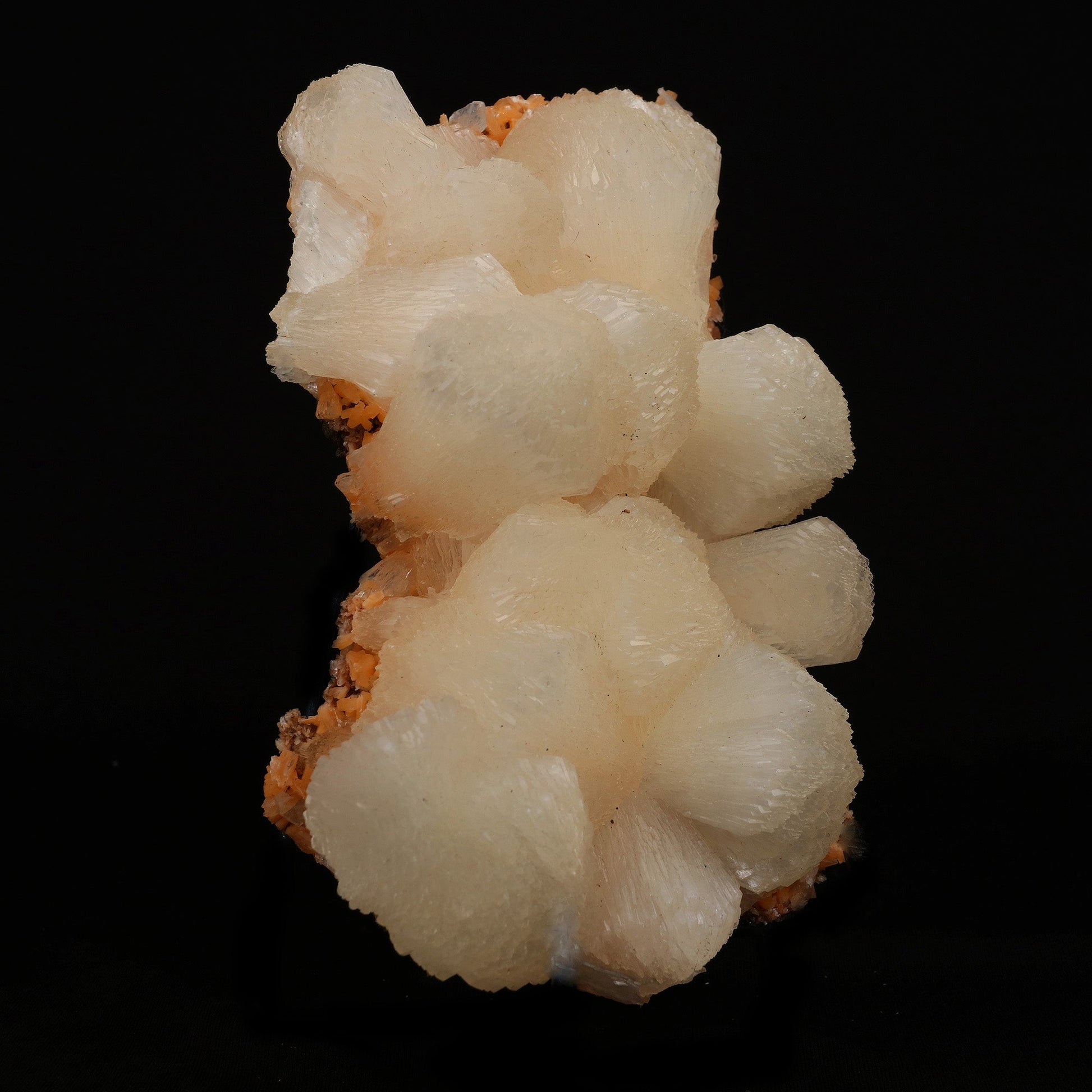 Stilbite Lusterous Cluster Natural Mineral Specimen # B 5204  https://www.superbminerals.us/products/stilbite-lusterous-cluster-natural-mineral-specimen-b-5204  Features: Featuring many excellent quality bladed groups of Stilbite in a soft white hue, resting over pearly stalactitic formations of peach colored Heulandite, this piece is a stunning example of the material. The sculpture is really flashy and three-dimensional, and I particularly like how the Stilbites