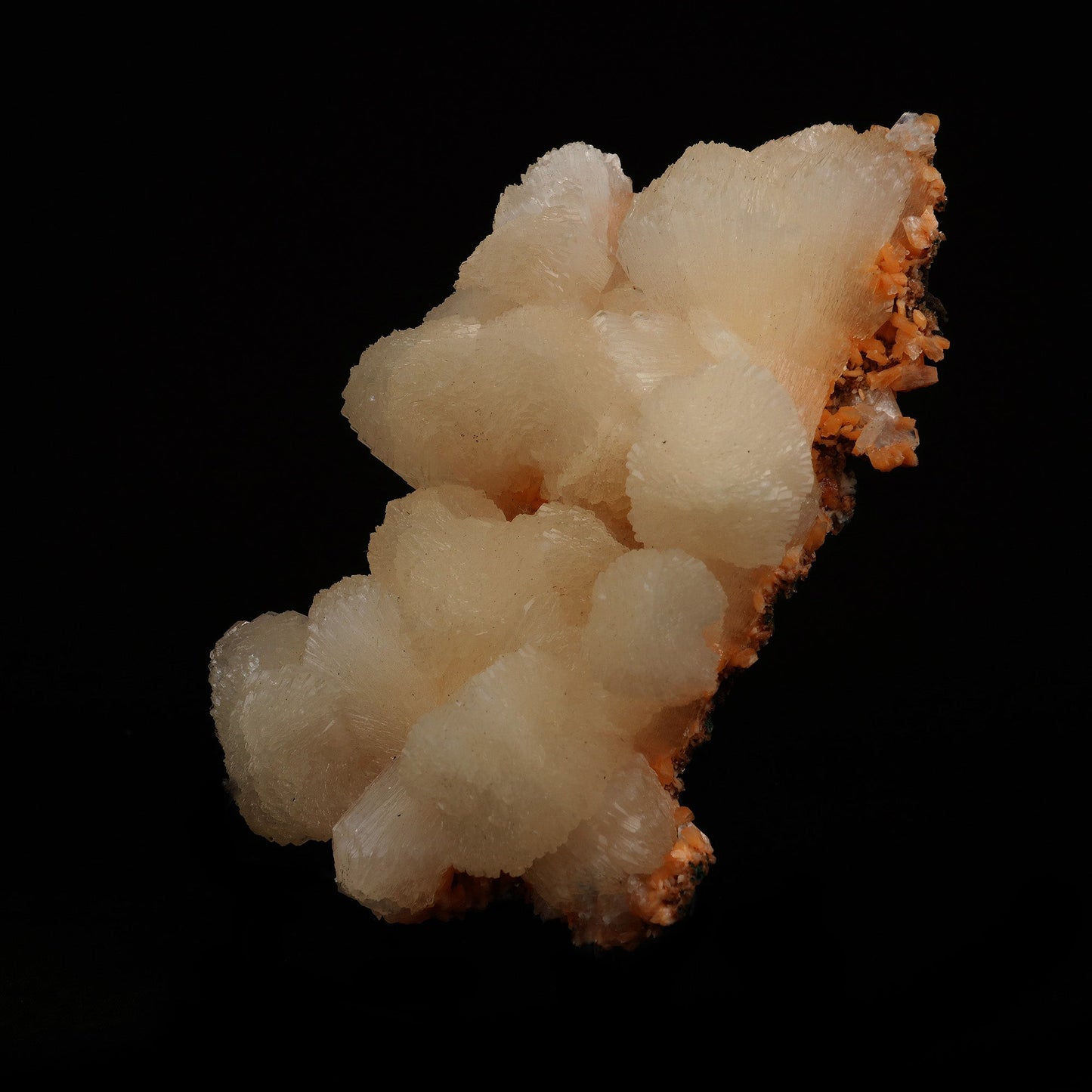 Stilbite Lusterous Cluster Natural Mineral Specimen # B 5204  https://www.superbminerals.us/products/stilbite-lusterous-cluster-natural-mineral-specimen-b-5204  Features: Featuring many excellent quality bladed groups of Stilbite in a soft white hue, resting over pearly stalactitic formations of peach colored Heulandite, this piece is a stunning example of the material. The sculpture is really flashy and three-dimensional, and I particularly like how the Stilbites