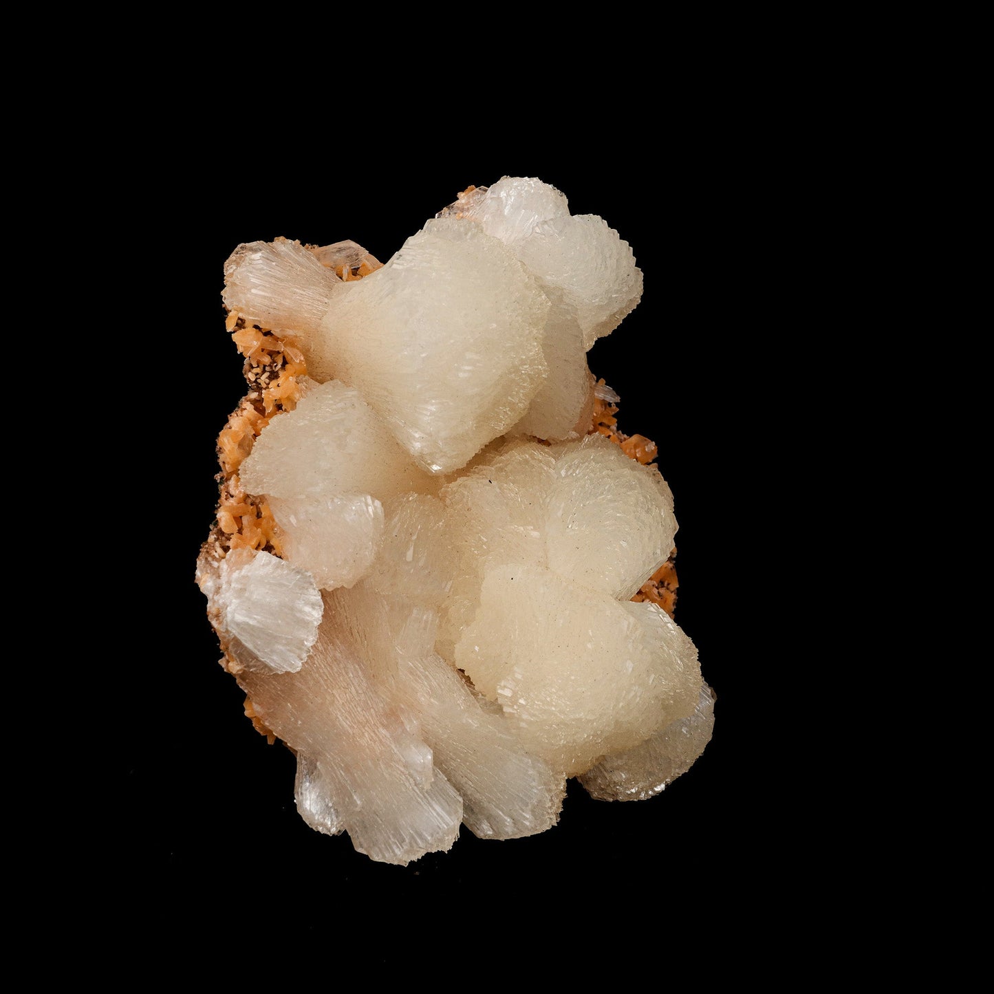 Stilbite Lusterous Cluster Natural Mineral Specimen # B 5251  https://www.superbminerals.us/products/stilbite-lusterous-cluster-natural-mineral-specimen-b-5251  Features: Featuring many excellent quality bladed groups of Stilbite in a soft white hue, resting over pearly stalactitic formations of peach colored Heulandite, this piece is a stunning example of the material. The sculpture is really flashy and three-dimensional, and I particularly like how the Stilbites