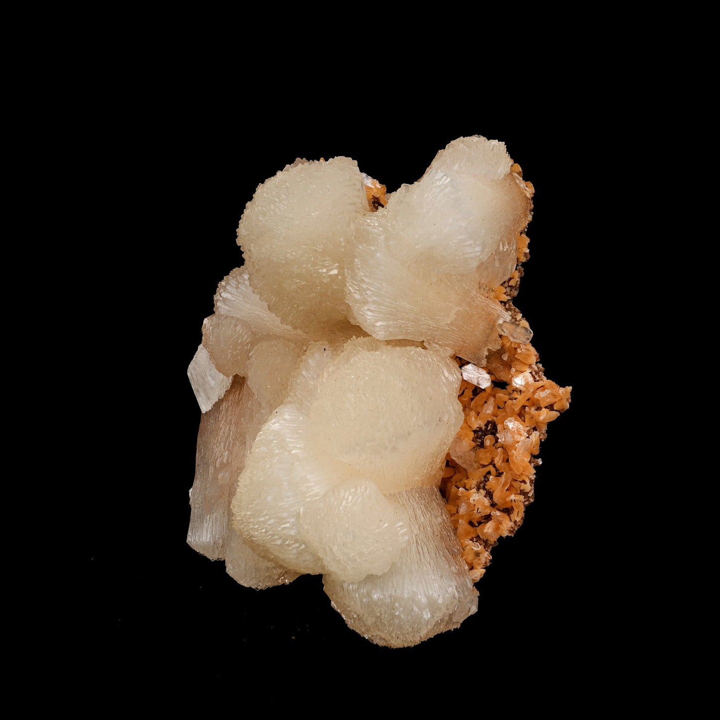 Stilbite Lusterous Cluster Natural Mineral Specimen # B 5251  https://www.superbminerals.us/products/stilbite-lusterous-cluster-natural-mineral-specimen-b-5251  Features: Featuring many excellent quality bladed groups of Stilbite in a soft white hue, resting over pearly stalactitic formations of peach colored Heulandite, this piece is a stunning example of the material. The sculpture is really flashy and three-dimensional, and I particularly like how the Stilbites