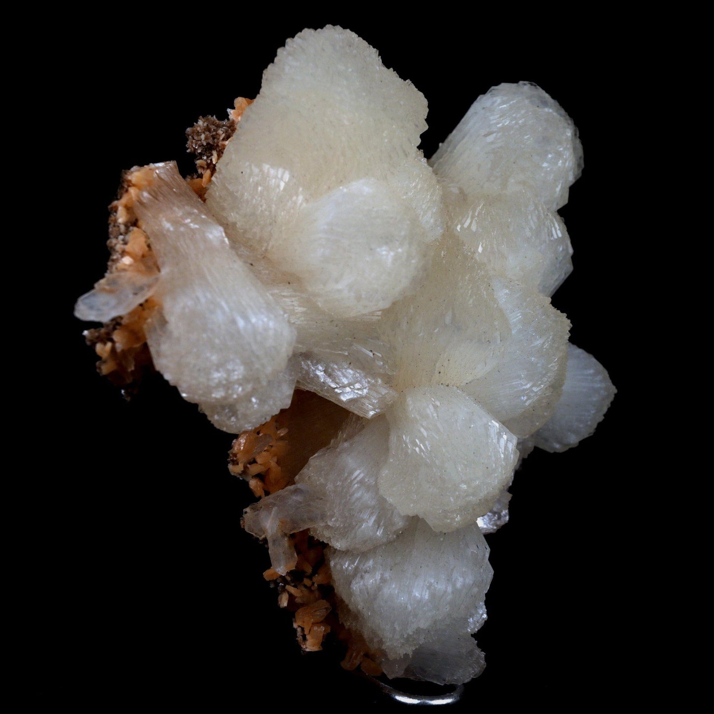 Stilbite Lusterous on Heulandite Natural Mineral Specimen # B 4917  https://www.superbminerals.us/products/stilbite-lusterous-on-heulandite-natural-mineral-specimen-b-4917  Features: A magnificent doubly terminated stilbite bowtie with outstanding wide shape is placed artistically on the blocky basalt matrix.&nbsp; The many glossy bone-white bladed heulandites scattered over the matrix beautifully compliment the very lustrous, transparent, cream-colored stilbite.