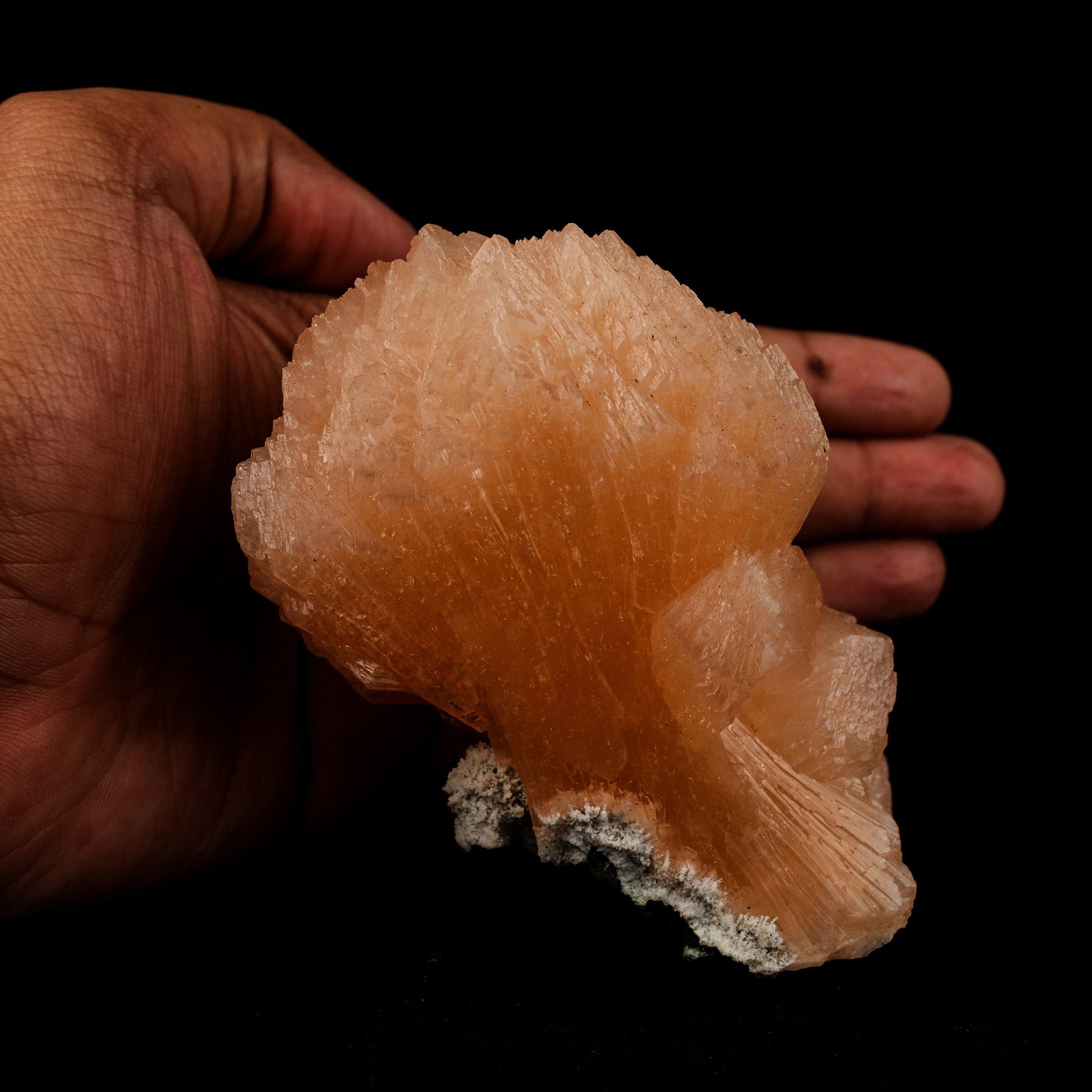 Stilbite Natural Mineral Specimen # B 5099  https://www.superbminerals.us/products/stilbite-natural-mineral-specimen-b-5099  Features: The best viewing angle for this specimen shows a 3-dimensional upright stilbite "bow tie," with a pastel salmon color and great luster and translucence. The matrix is a thin veneer of Heulandite. Primary Mineral(s): Stilbite Secondary Mineral(s): N/AMatrix: N/A 4 Inch x 3 InchWeight : 355 GmsLocality: Jalgaon