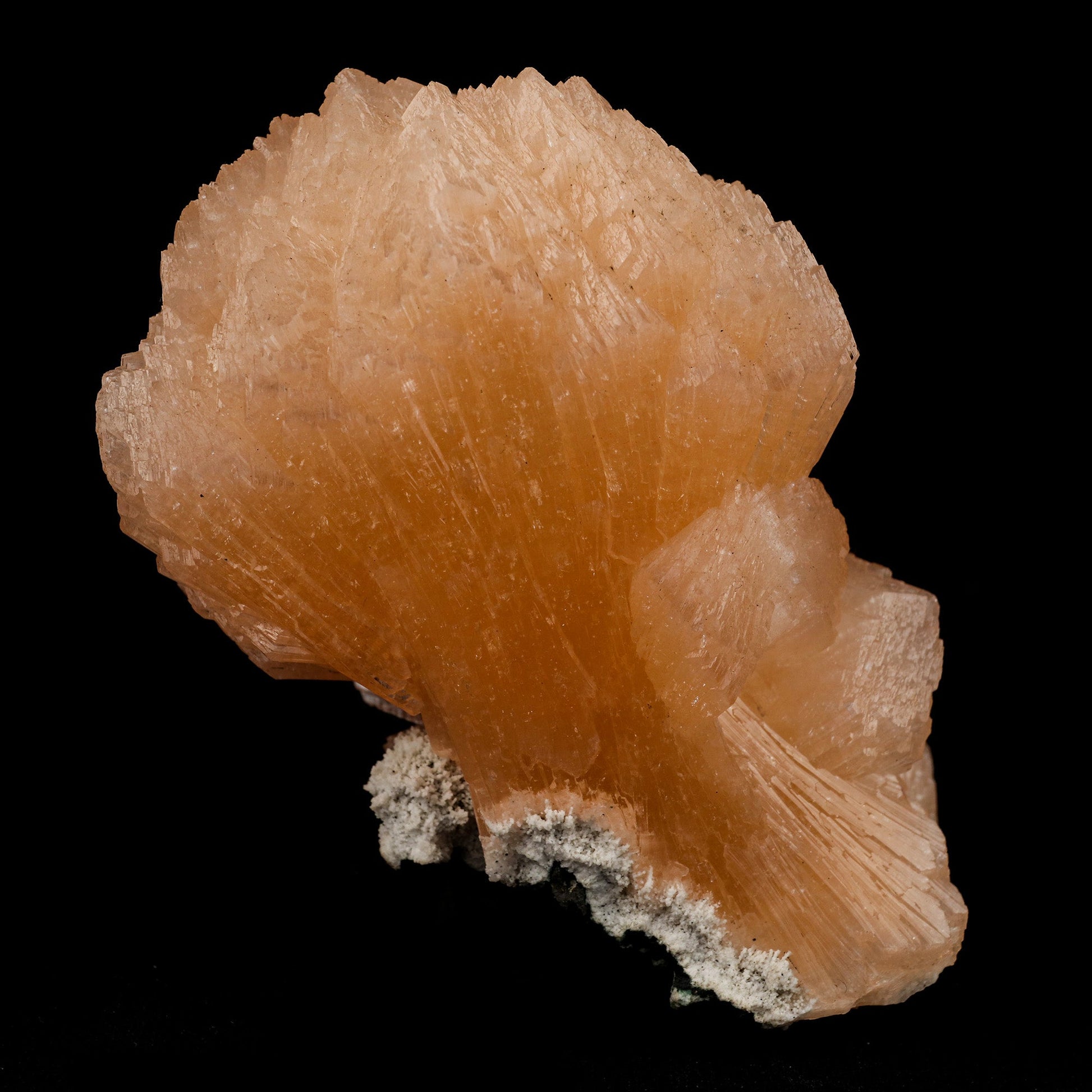 Stilbite Natural Mineral Specimen # B 5099  https://www.superbminerals.us/products/stilbite-natural-mineral-specimen-b-5099  Features: The best viewing angle for this specimen shows a 3-dimensional upright stilbite "bow tie," with a pastel salmon color and great luster and translucence. The matrix is a thin veneer of Heulandite. Primary Mineral(s): Stilbite Secondary Mineral(s): N/AMatrix: N/A 4 Inch x 3 InchWeight : 355 GmsLocality: Jalgaon