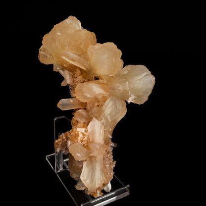 Stilbite Natural Mineral Specimen # B 6592 Stilbite Superb Minerals 