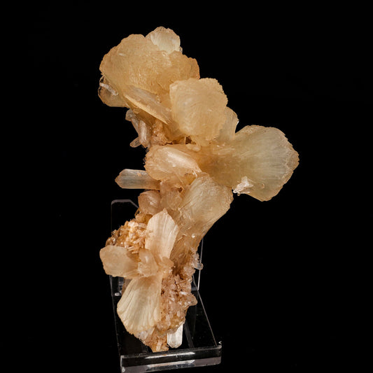 Stilbite Natural Mineral Specimen # B 6592 Stilbite Superb Minerals 