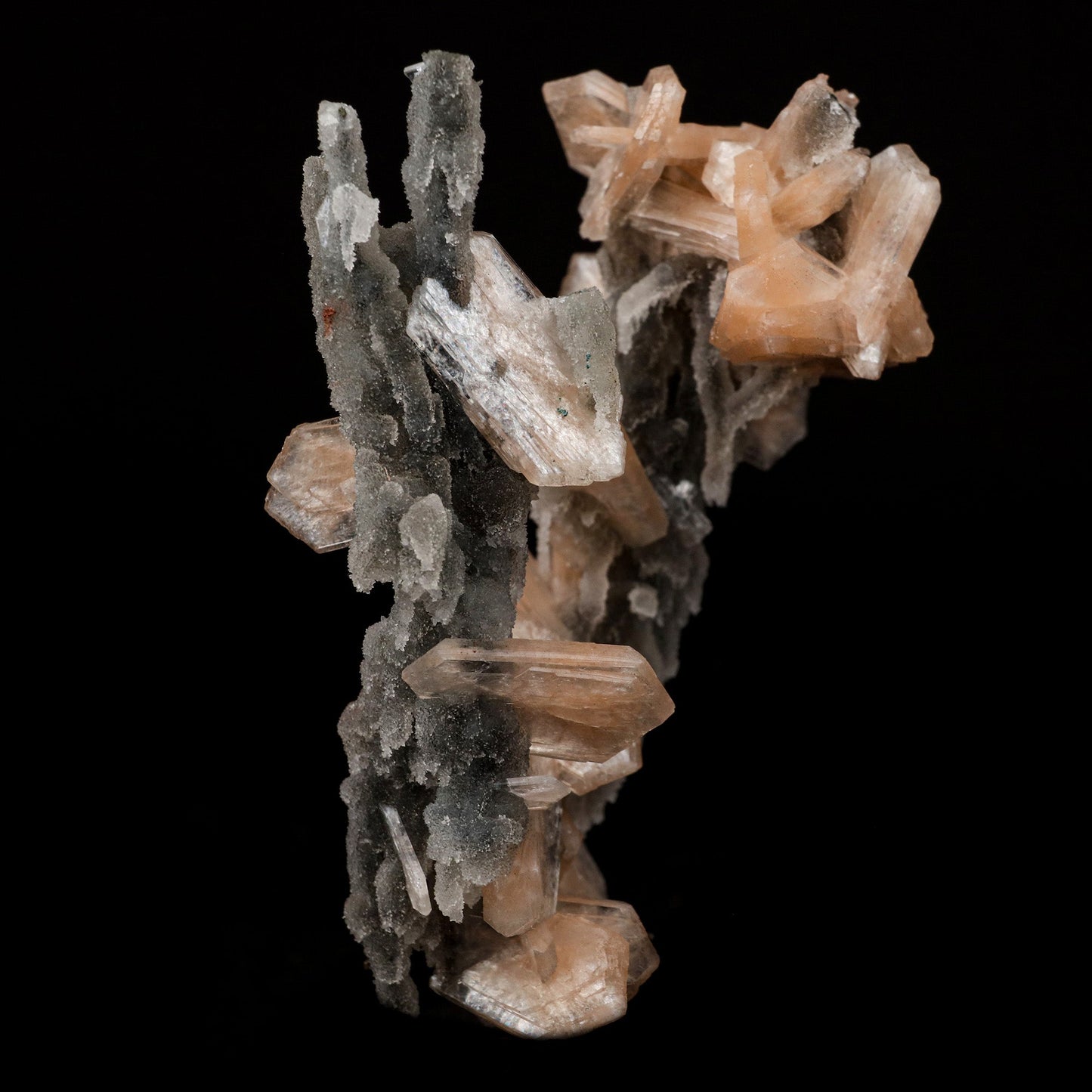 Stilbite on Chalcedony Coral Formation Natural Mineral Specimen # B 5…  https://www.superbminerals.us/products/stilbite-on-chalcedony-coral-formation-natural-mineral-specimen-b-5145  Features: Elegant and delicate, this is a quintessential example of the great combination pieces from the trap rocks of India. The Chalcedony beautifully coats the winding, narrow stalactites that were already there. The Chalcedony continued to grow, adding these delicate structures that range from straw-like fingers