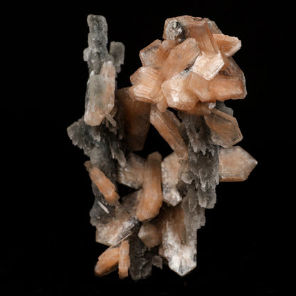 Stilbite on Chalcedony Coral Formation Natural Mineral Specimen # B 5…  https://www.superbminerals.us/products/stilbite-on-chalcedony-coral-formation-natural-mineral-specimen-b-5145  Features: Elegant and delicate, this is a quintessential example of the great combination pieces from the trap rocks of India. The Chalcedony beautifully coats the winding, narrow stalactites that were already there. The Chalcedony continued to grow, adding these delicate structures that range from straw-like fingers