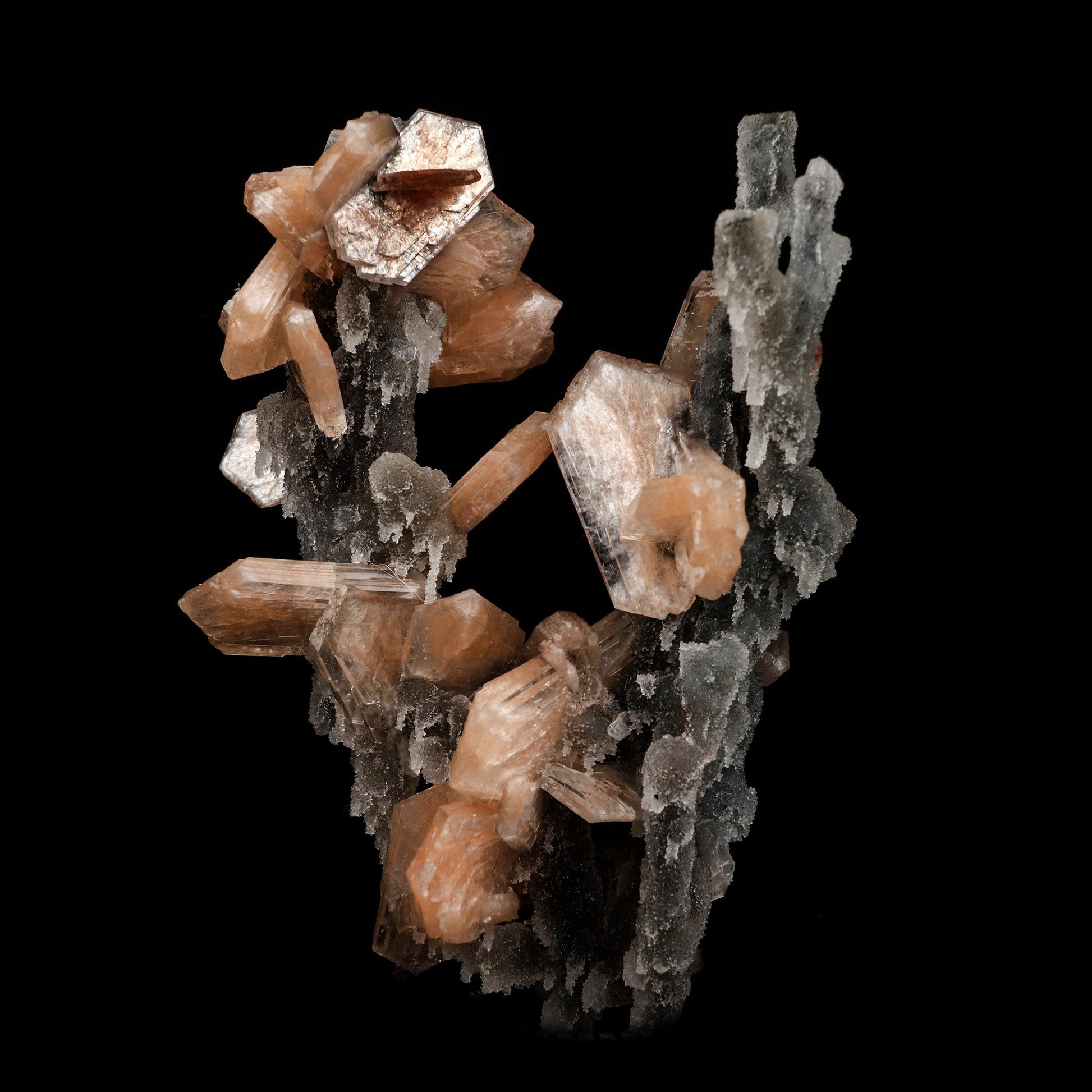 Stilbite on Chalcedony Coral Formation Natural Mineral Specimen # B 5…  https://www.superbminerals.us/products/stilbite-on-chalcedony-coral-formation-natural-mineral-specimen-b-5145  Features: Elegant and delicate, this is a quintessential example of the great combination pieces from the trap rocks of India. The Chalcedony beautifully coats the winding, narrow stalactites that were already there. The Chalcedony continued to grow, adding these delicate structures that range from straw-like fingers