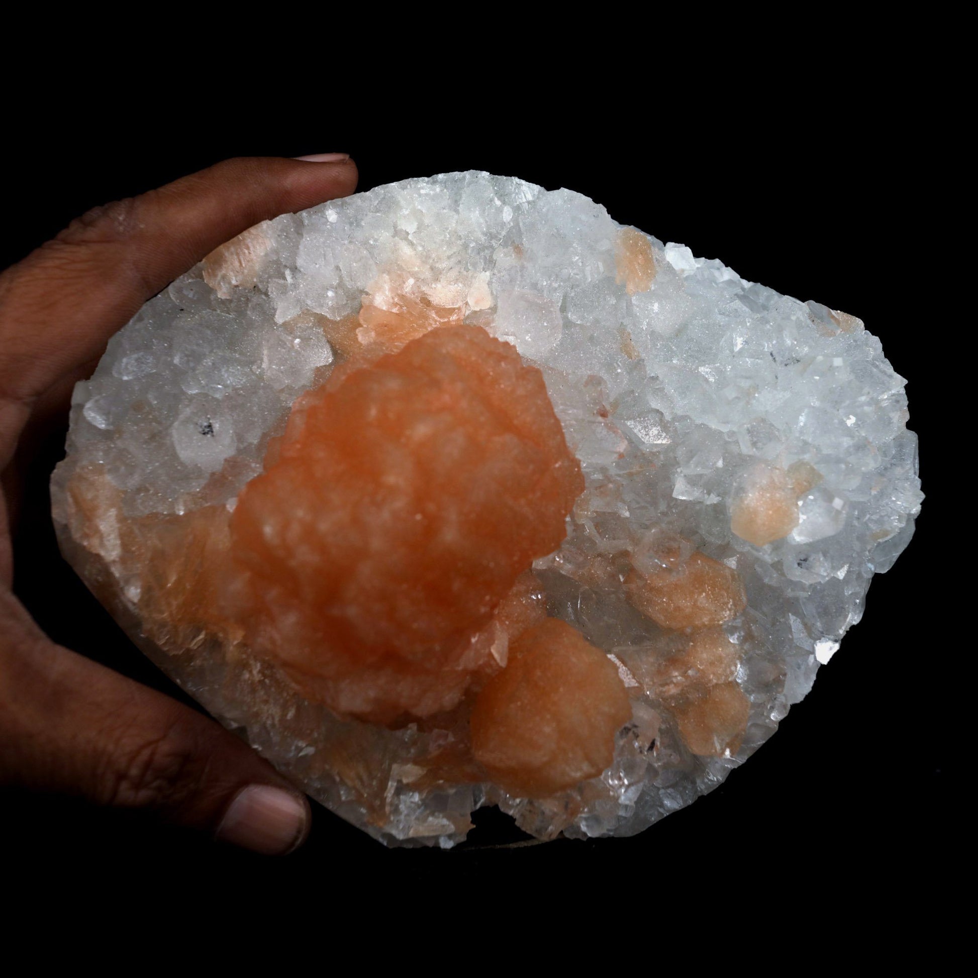 Stilbite Orange on Apophyllite Microcrystaline Natural Mineral Specime…  https://www.superbminerals.us/products/stilbite-orange-on-apophyllite-microcrystaline-natural-mineral-specimen-b-4682  Features: A magnificent, razor-sharp, vitreous, soft peach-colored "sword"-shaped group of Stilbite is flaring out of a group of fine quality, razor-sharp, lustrous, prismatic Apophyllite crystals on a little quantity of white Chalcedony in this eye-catching three-dimensional display piece. The most massive Apophyllite