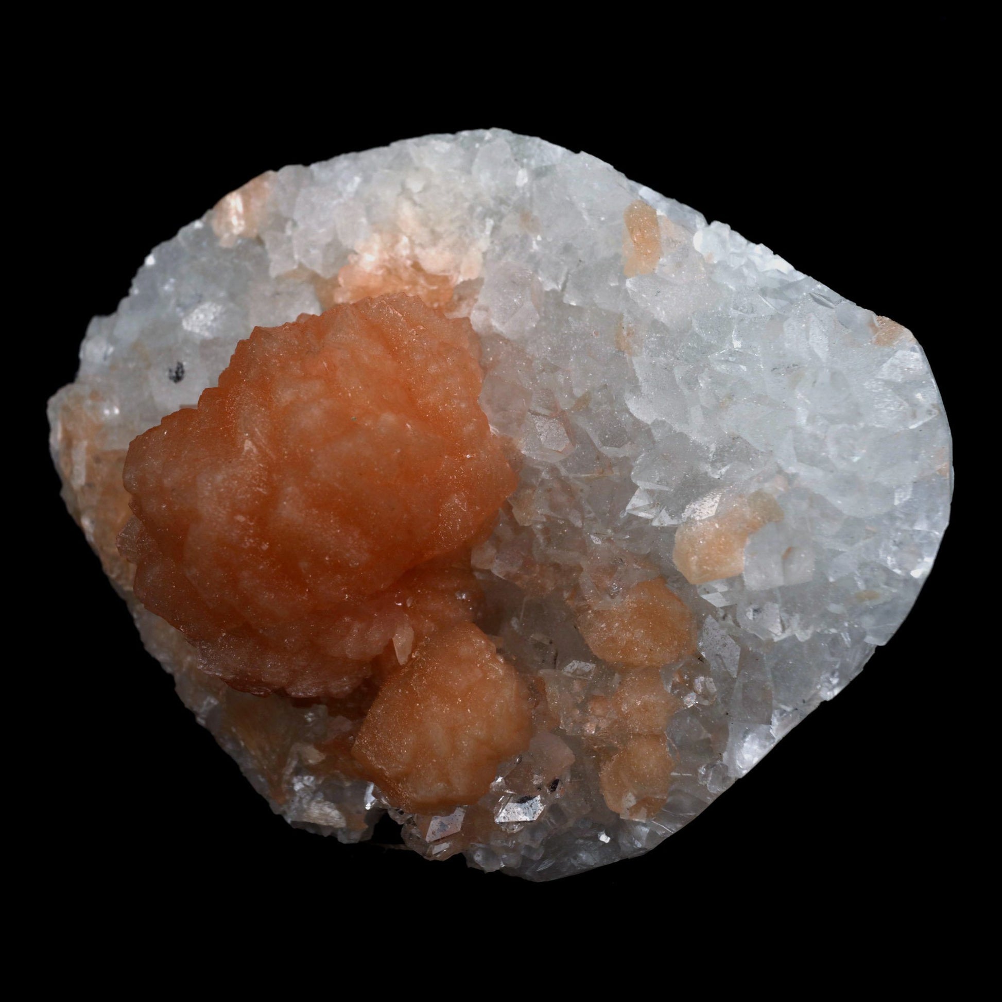 Stilbite Orange on Apophyllite Microcrystaline Natural Mineral Specime…  https://www.superbminerals.us/products/stilbite-orange-on-apophyllite-microcrystaline-natural-mineral-specimen-b-4682  Features: A magnificent, razor-sharp, vitreous, soft peach-colored "sword"-shaped group of Stilbite is flaring out of a group of fine quality, razor-sharp, lustrous, prismatic Apophyllite crystals on a little quantity of white Chalcedony in this eye-catching three-dimensional display piece. The most massive Apophyllite