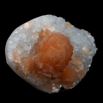 Stilbite Orange on Apophyllite Microcrystaline Natural Mineral Specime…  https://www.superbminerals.us/products/stilbite-orange-on-apophyllite-microcrystaline-natural-mineral-specimen-b-4682  Features: A magnificent, razor-sharp, vitreous, soft peach-colored "sword"-shaped group of Stilbite is flaring out of a group of fine quality, razor-sharp, lustrous, prismatic Apophyllite crystals on a little quantity of white Chalcedony in this eye-catching three-dimensional display piece. The most massive Apophyllite
