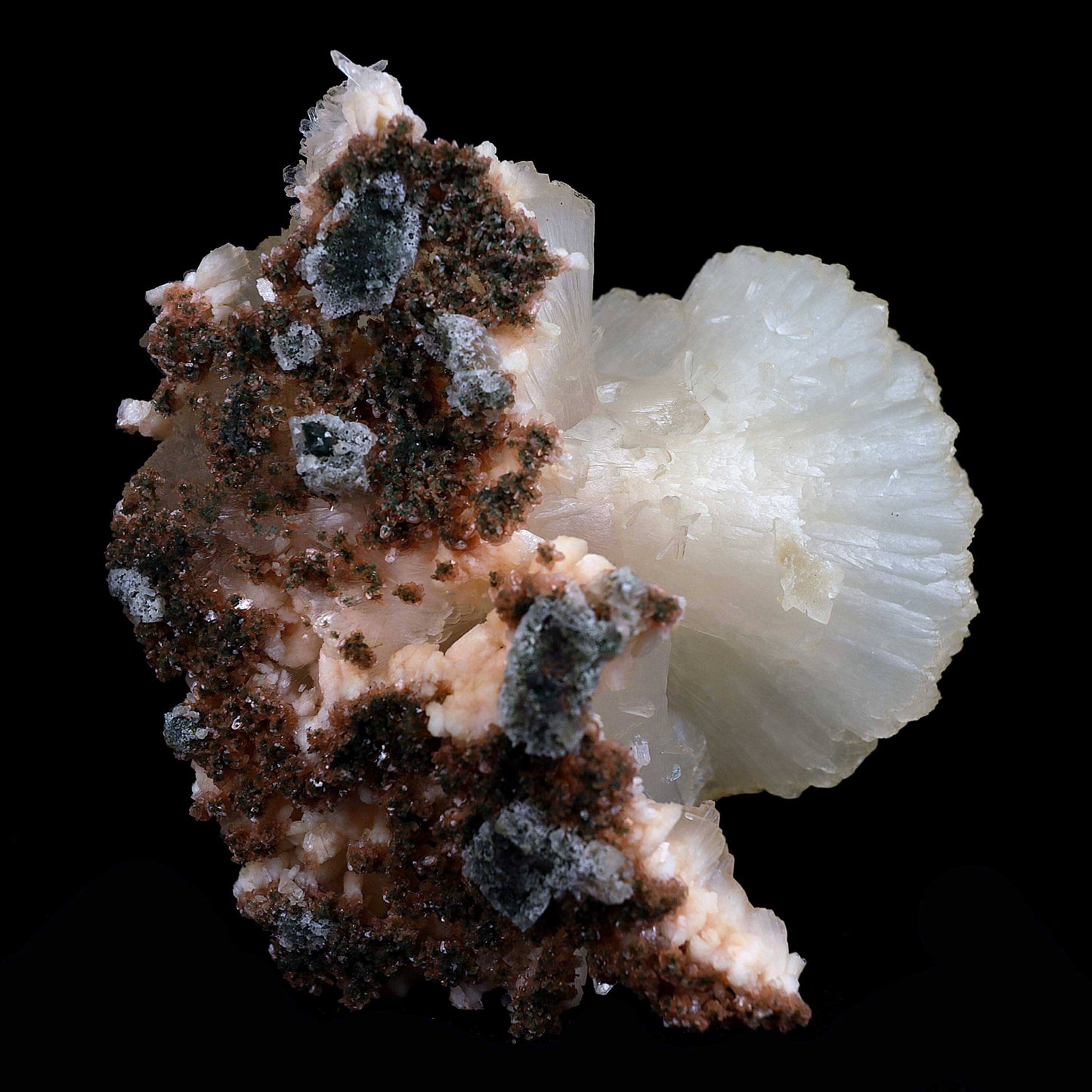 Stilbite Perfect Bow-tie on Heulandite Natural Mineral Specimen # B 4…  https://www.superbminerals.us/products/stilbite-perfect-bow-tie-on-heulandite-natural-mineral-specimen-b-4515  Features:From Jalgaon, a huge ivory stilbite bowtie of exceptional quality. Set atop a thin crust, bordered by glassy, colourless Heulandite crystals, it is visually pleasing. Bowtie has a high sheen and is in excellent condition. In this area, it's quite rare to find a product of this size and quality. 