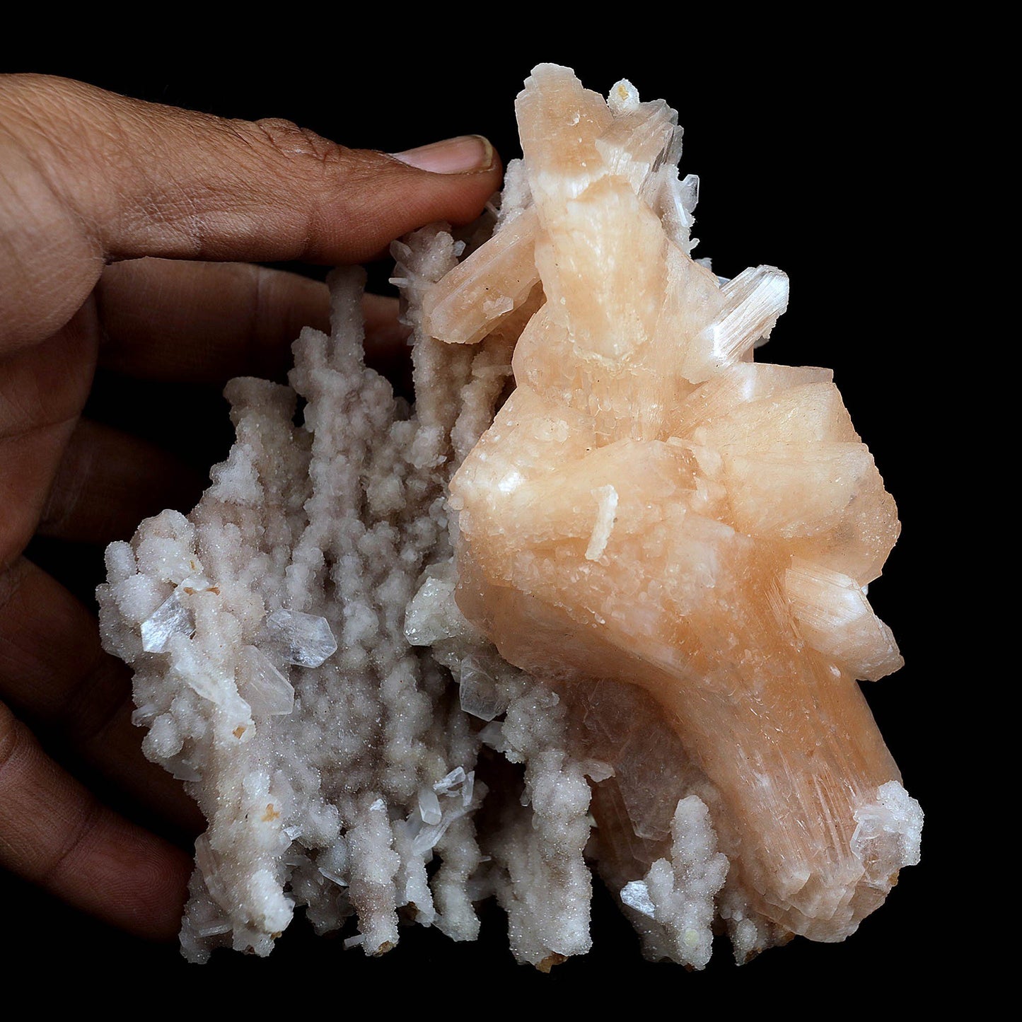 Stilbite Pink Crystal on Chalcedony Natural Mineral Specimen # B 3713 Stilbite Superb Minerals 