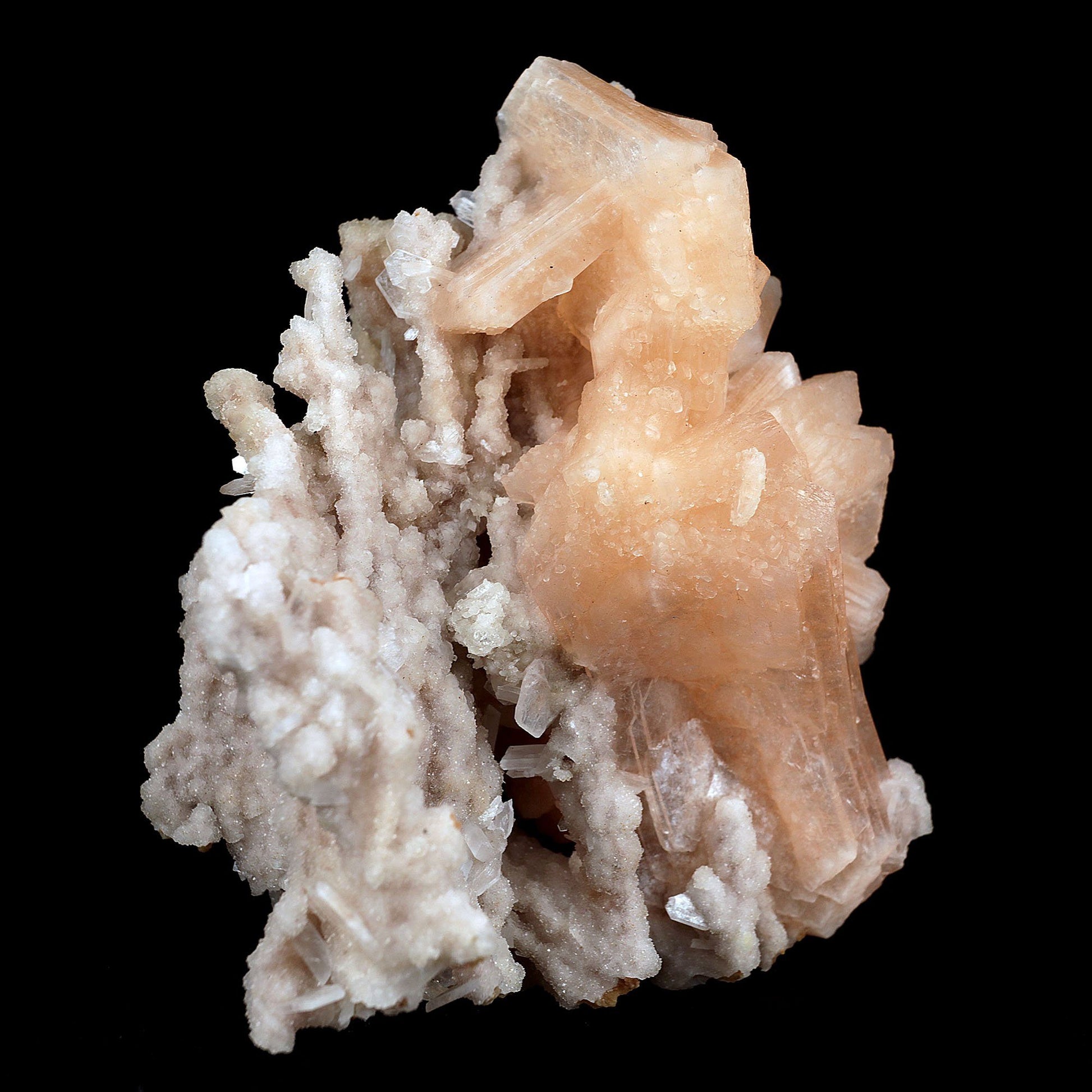 Stilbite Pink Crystal on Chalcedony Natural Mineral Specimen # B 3713 Stilbite Superb Minerals 