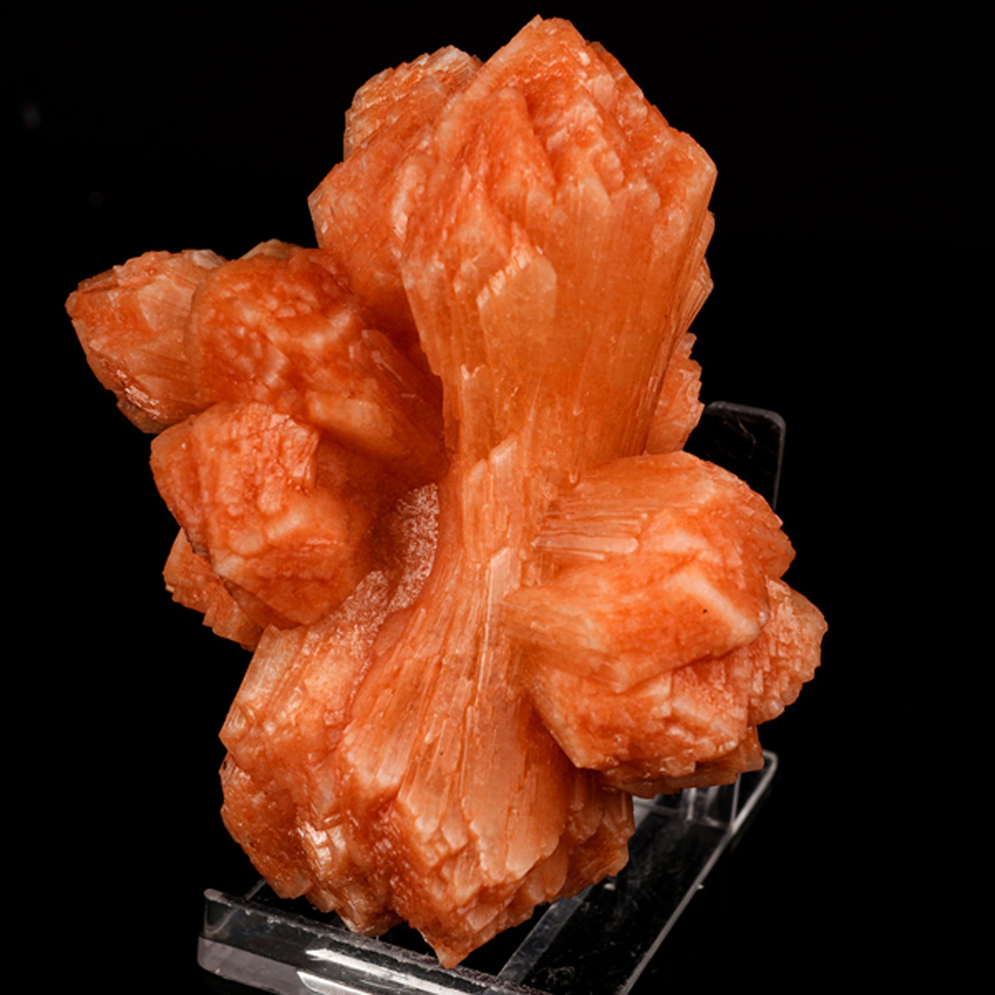 Stilbite Red Bow Natural Mineral Specimen # B 5835 Stilbite Superb Minerals 