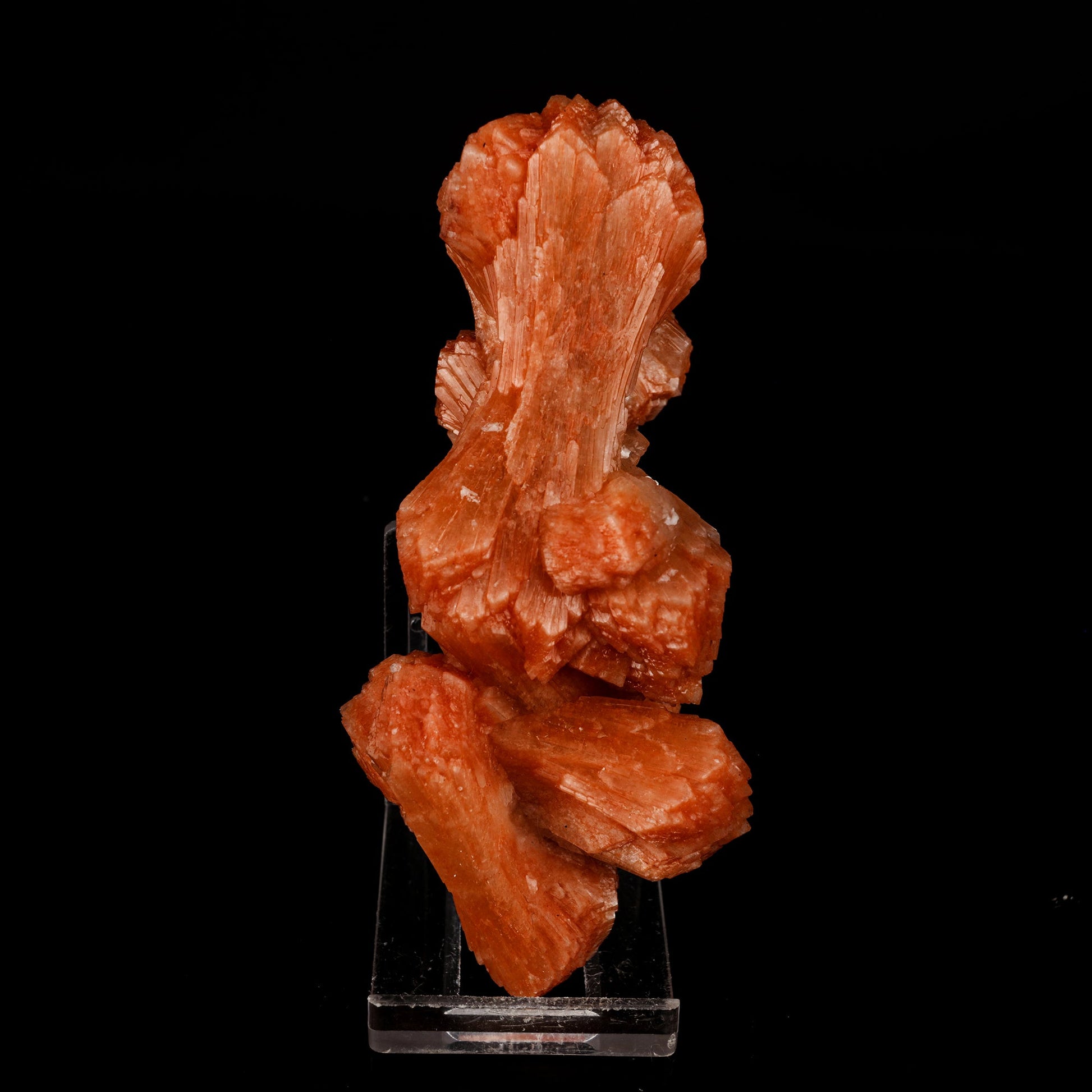 Stilbite Red Bow Natural Mineral Specimen # B 5918 Natrolite Superb Minerals 